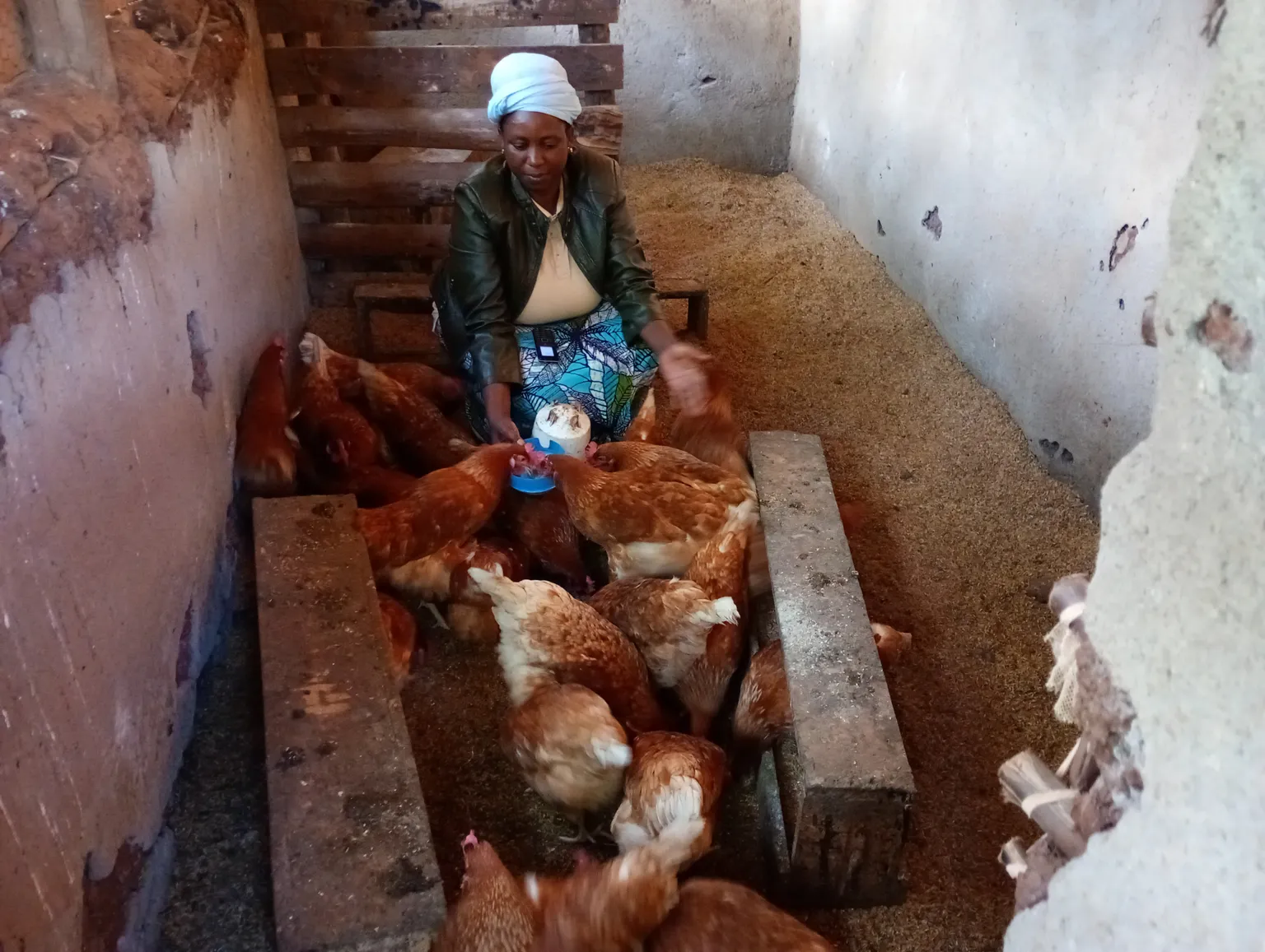 Mwavita from Burundi cares for chickens