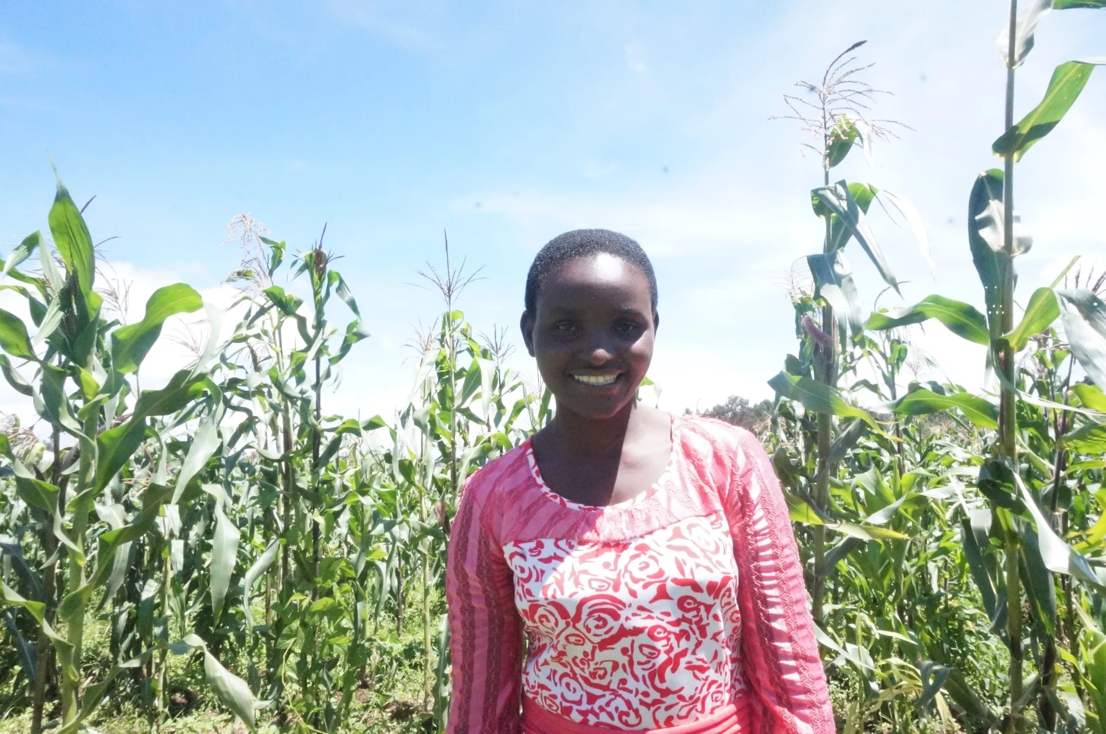 young woman stands in pink shirt stands in front of the green crops
