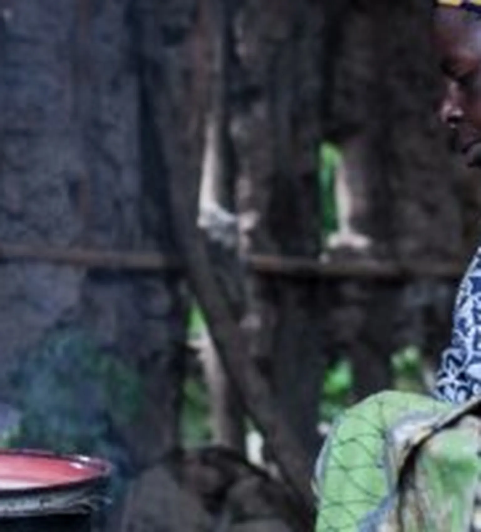 Woman in hut