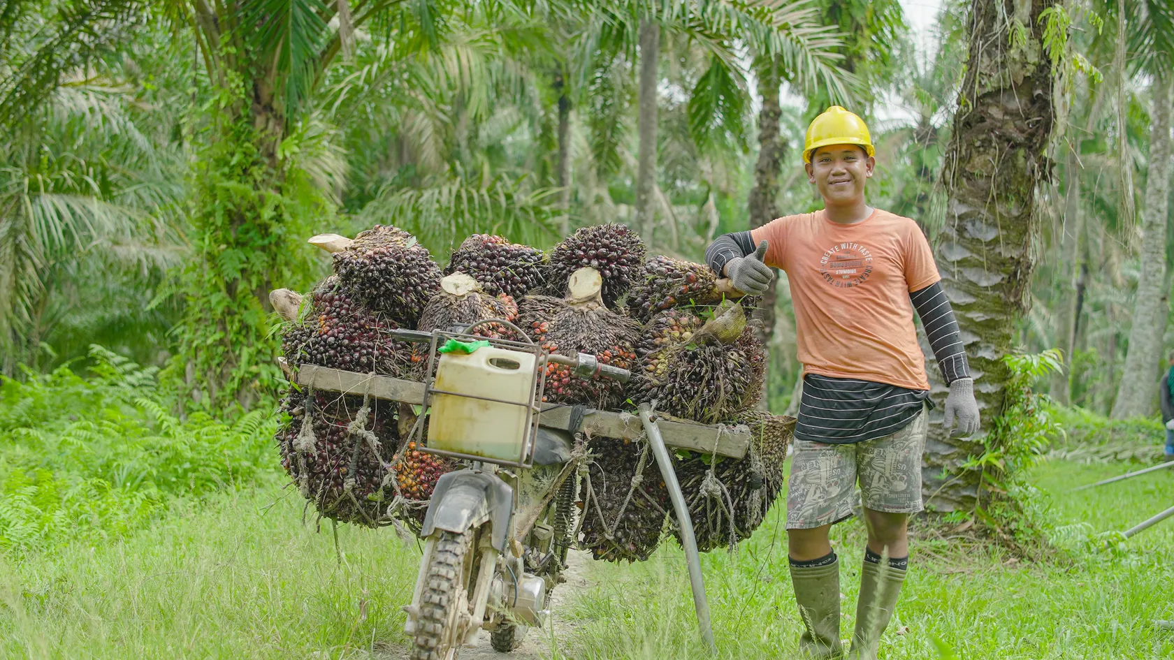 Palm oil farmer