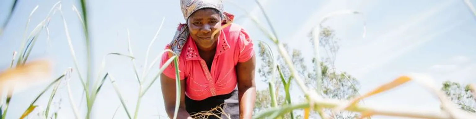 Kenyan woman working on field
