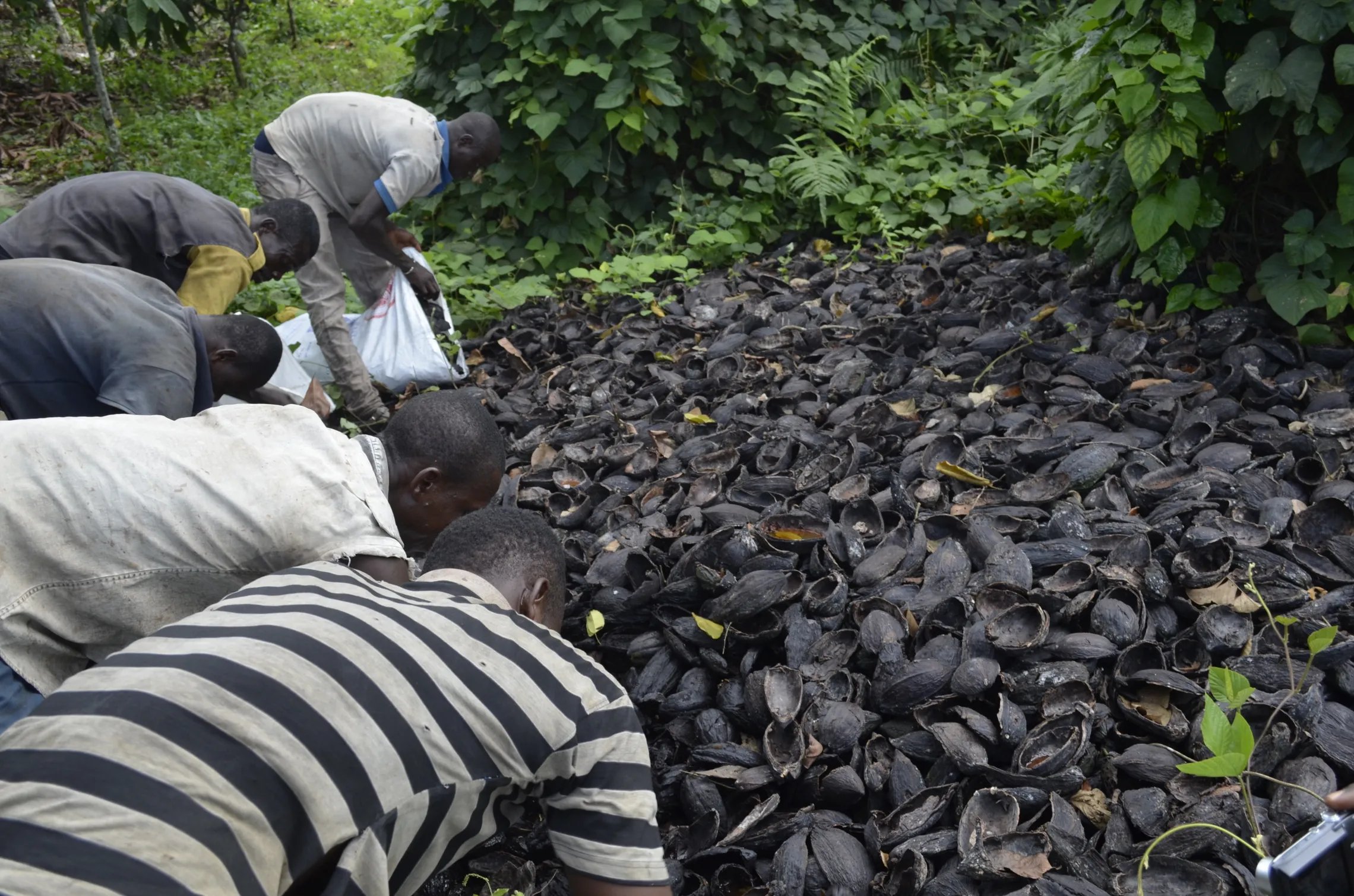SODEN x DFCD project Cote dIvoire