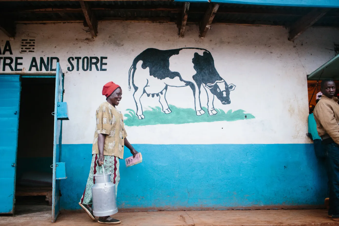 From white collar work to dairy farming