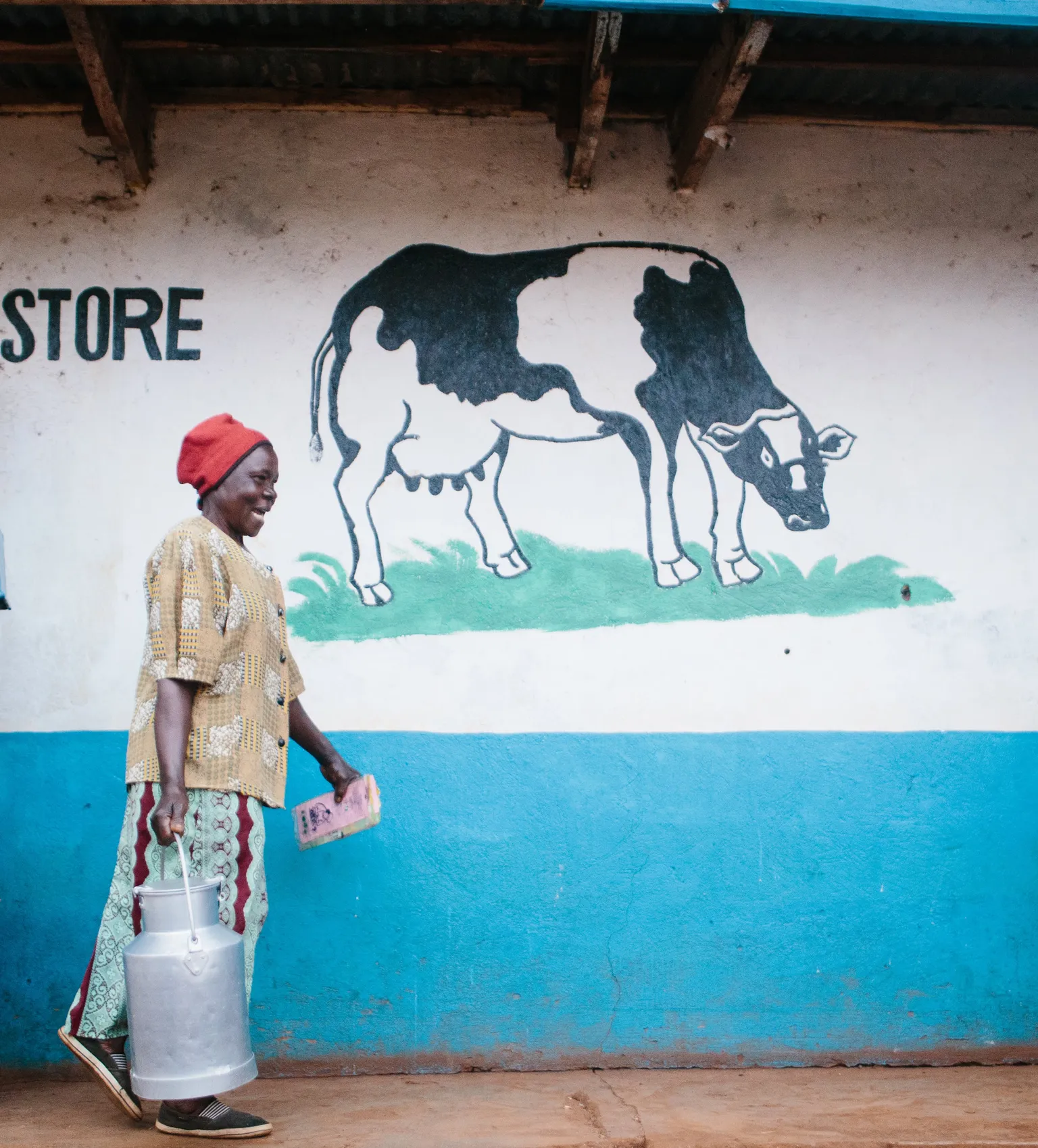 From white collar work to dairy farming