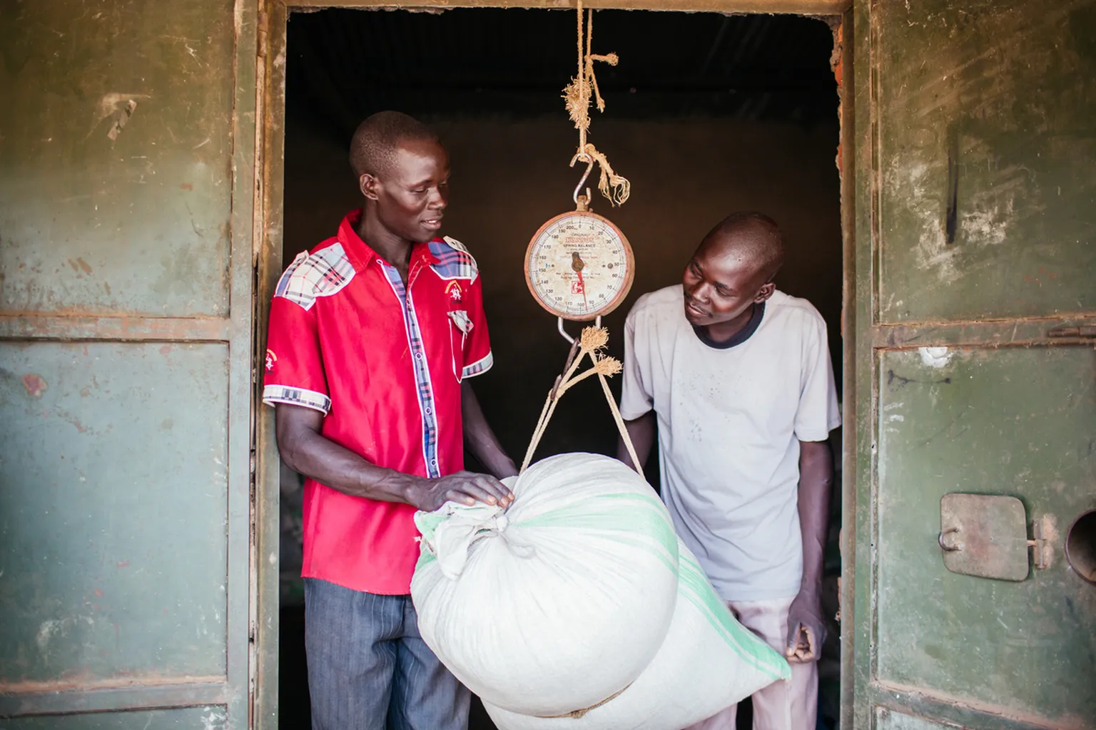 Winning over sceptics with cassava