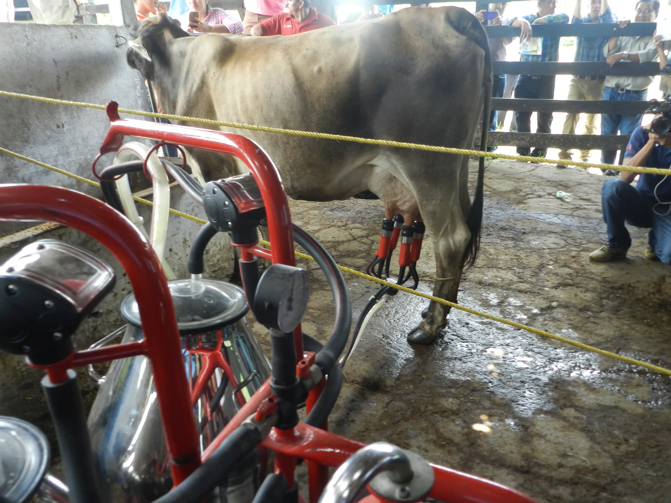 Nicaragua: the power of biogas