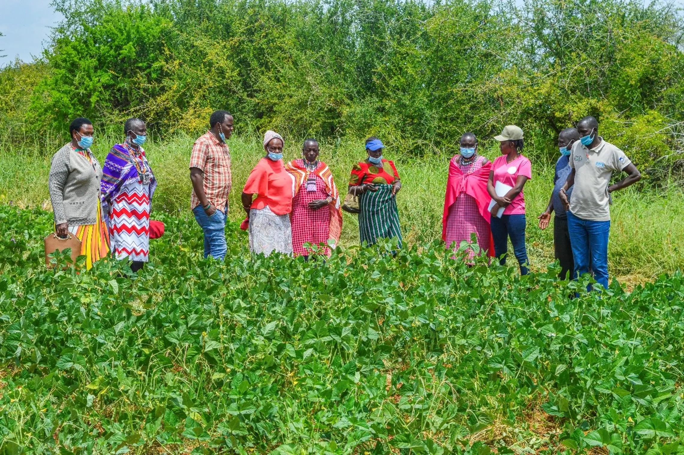 A photo of women farmers working as part of the ICSIAPL project
