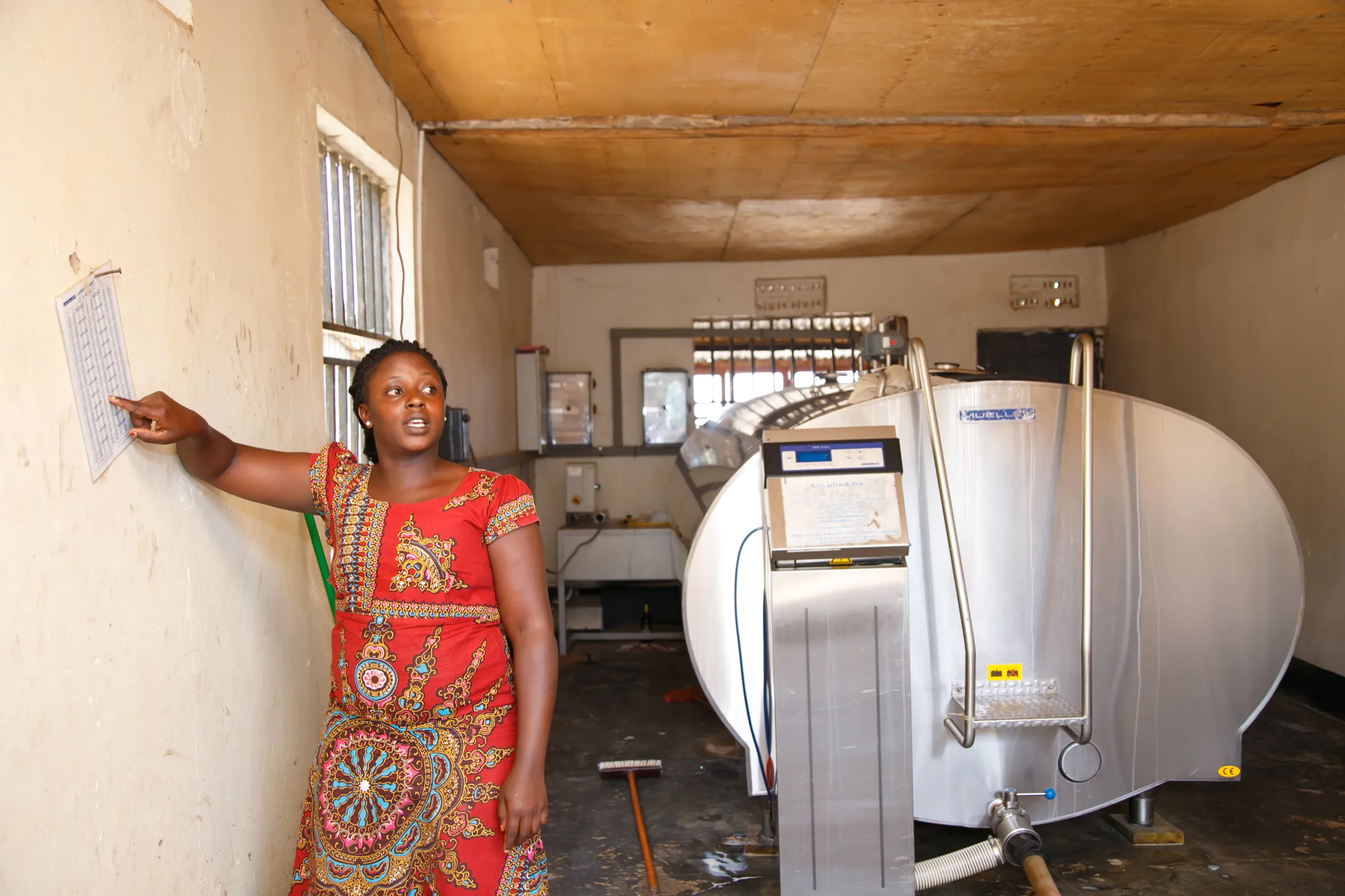 Dairy: Uganda’s un-milked sector