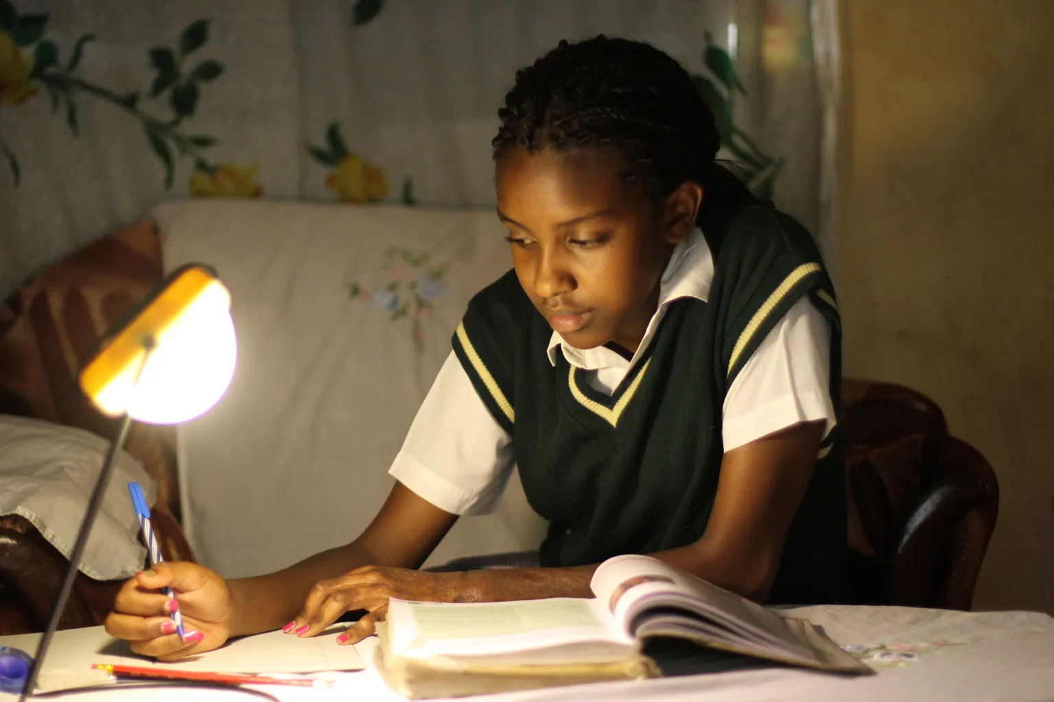 The role of RBF in realising sustainable energy for all