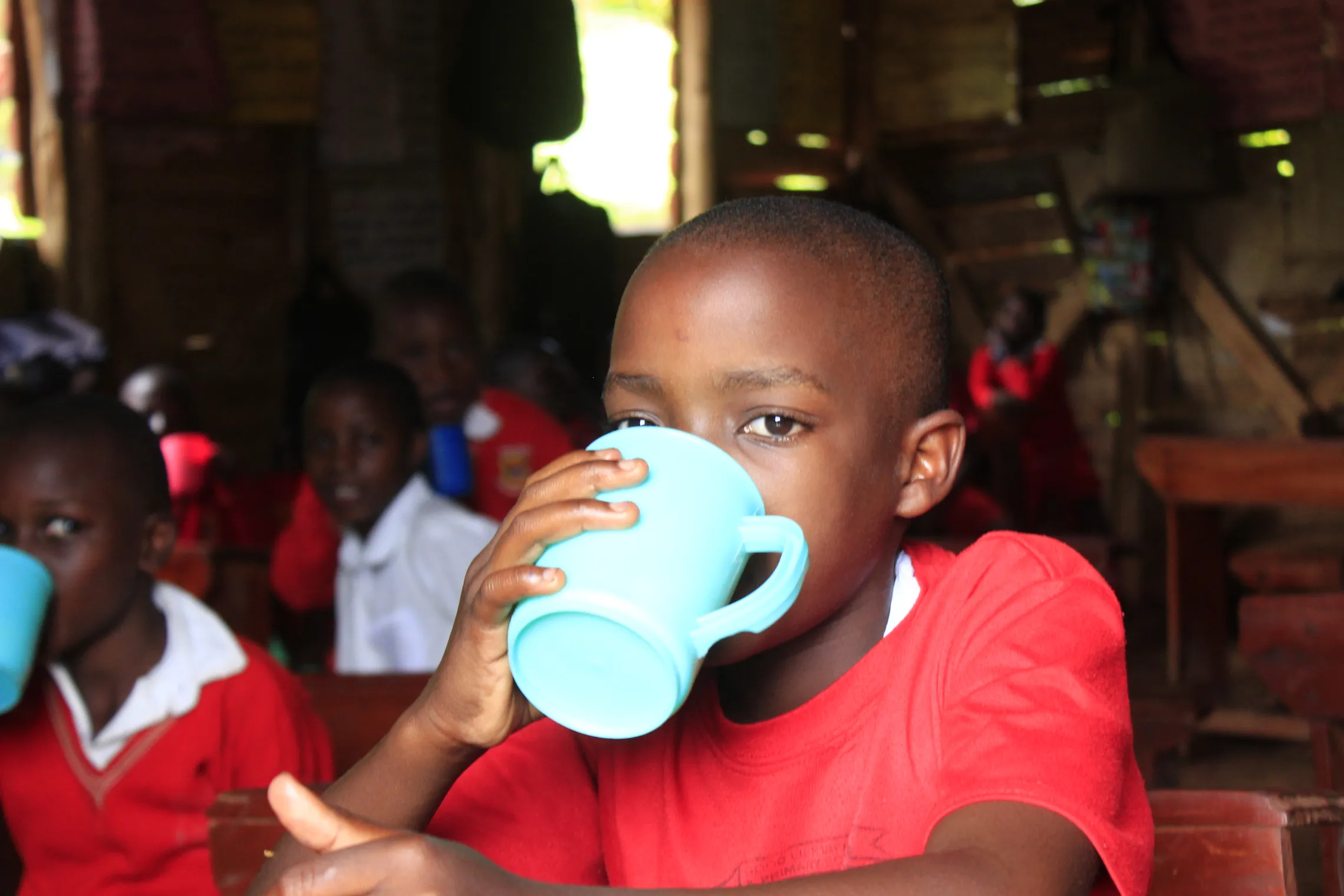 School feeding Uganda, children drinking milk