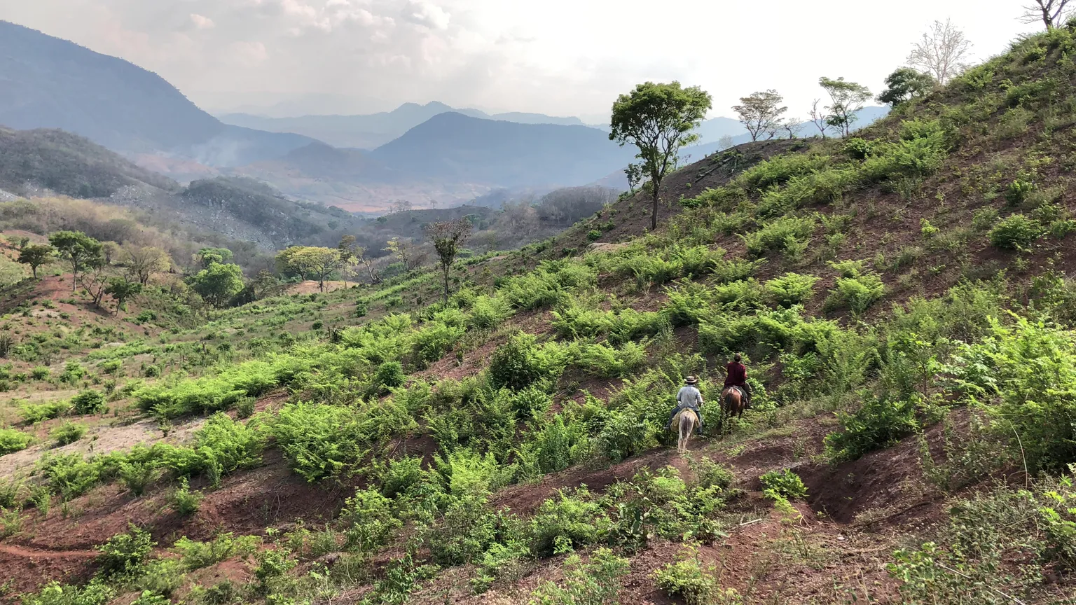 AFCIPRA project contributes to green recovery in Honduras
