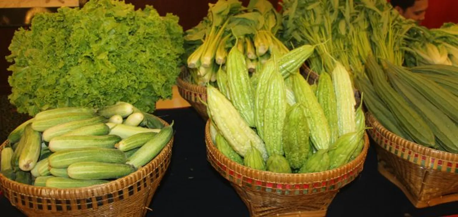 Green crops on a table