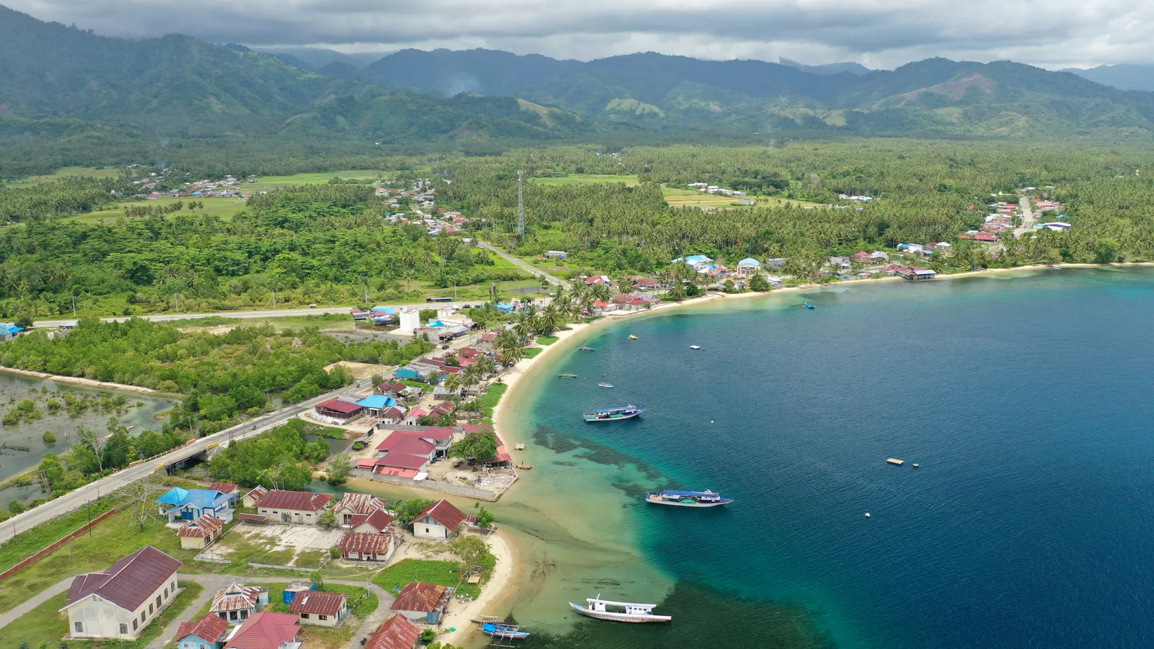 Birds eye view picture of landscape with a vast green area neighbouring a beach