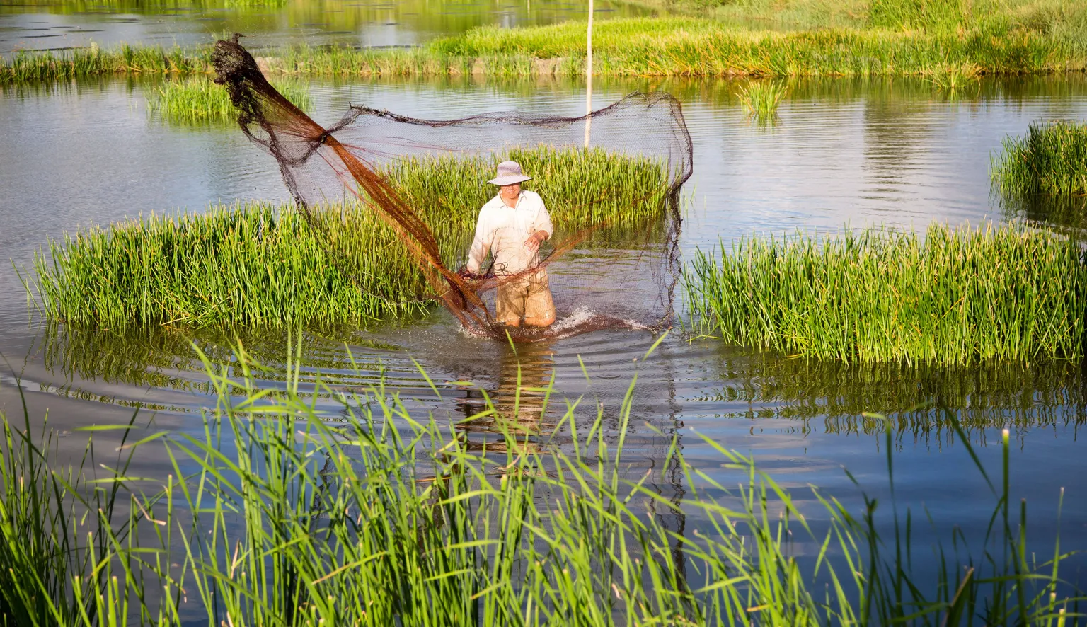 SNV integrates shrimp aquaculture with mangrove protection in Cà Mau, Vietnam