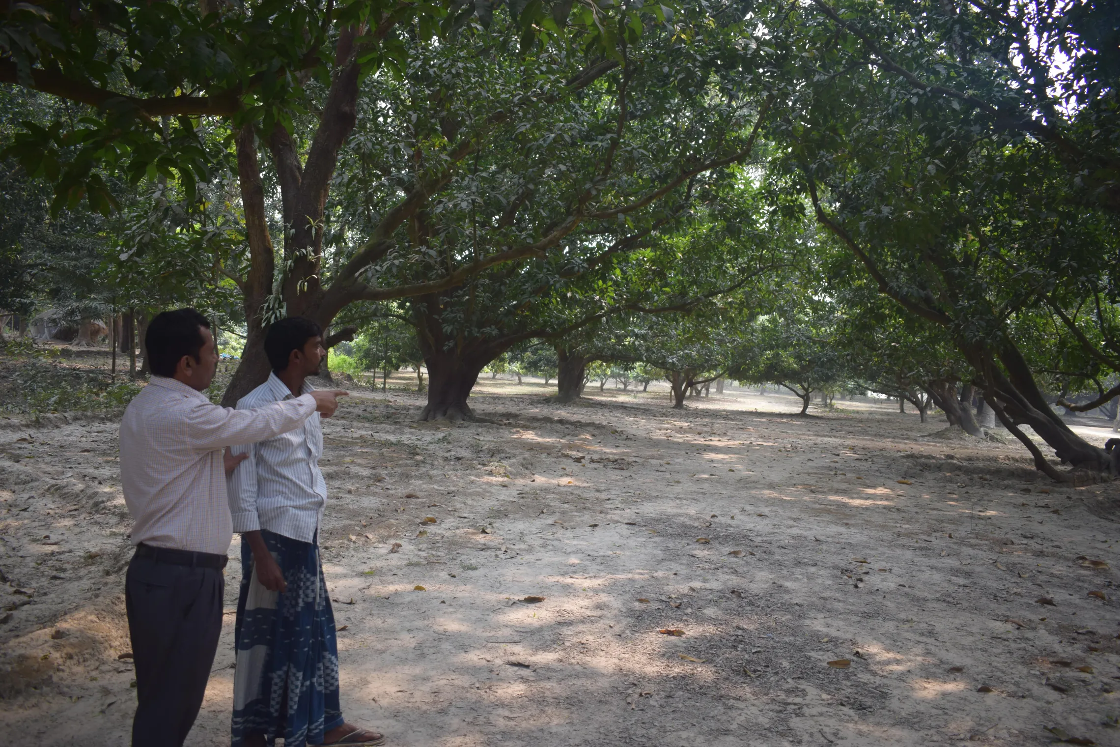 two men looking at the trees in the background