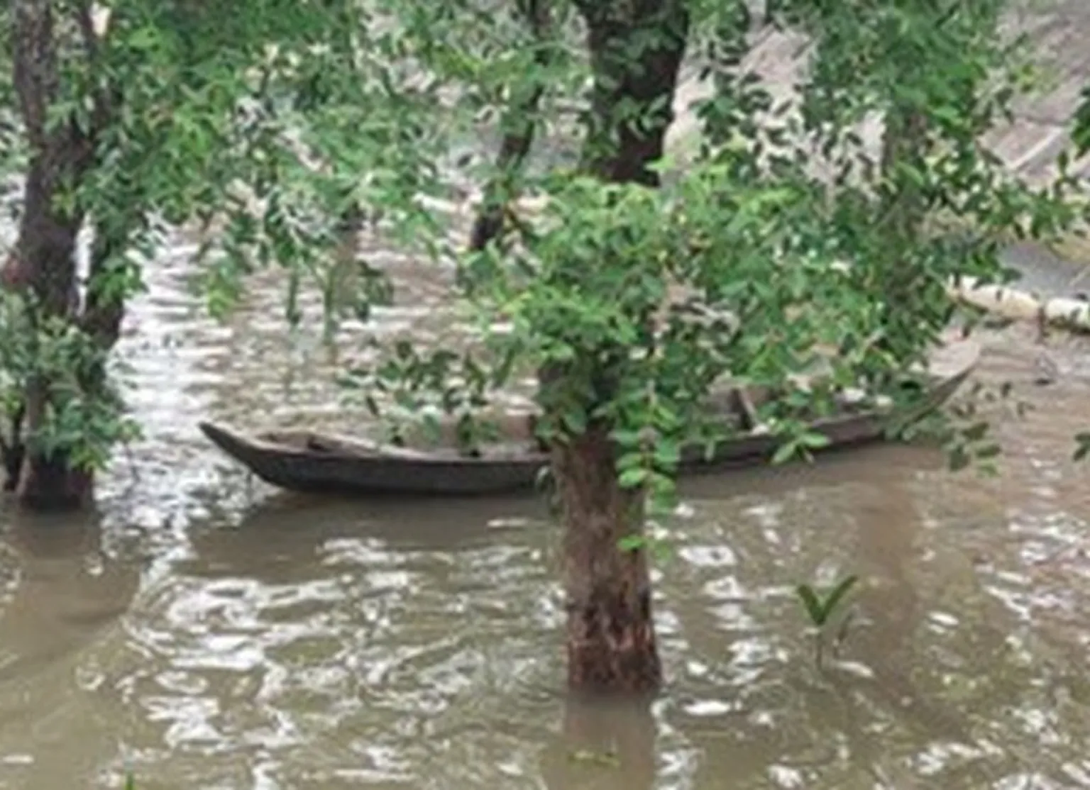 Salinity intrusion in Mekong Delta, Vietnam