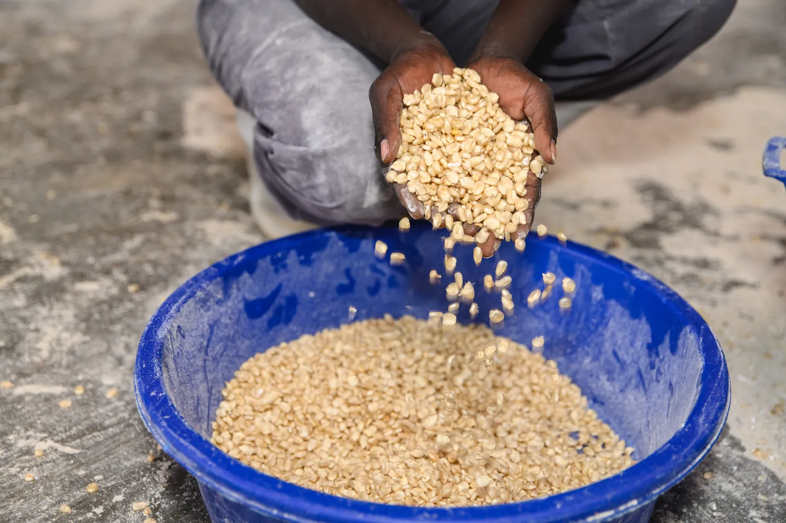SNV IMEU - Awello Millers - Oyam - AgroProcessing-40 (1)