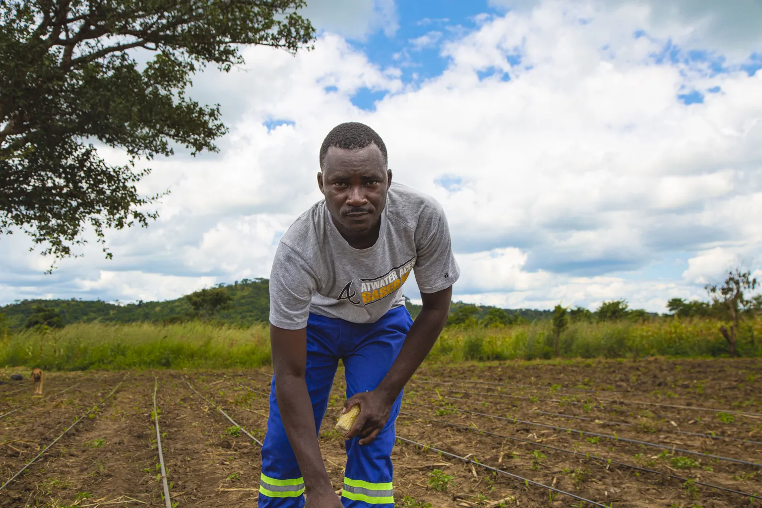 Trevor Siafunda looks into the camera while working in a field