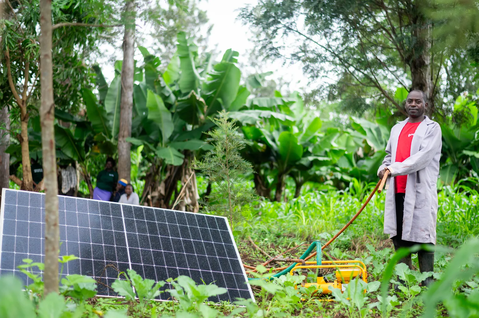 SEFFA solar irrigation - Kenya