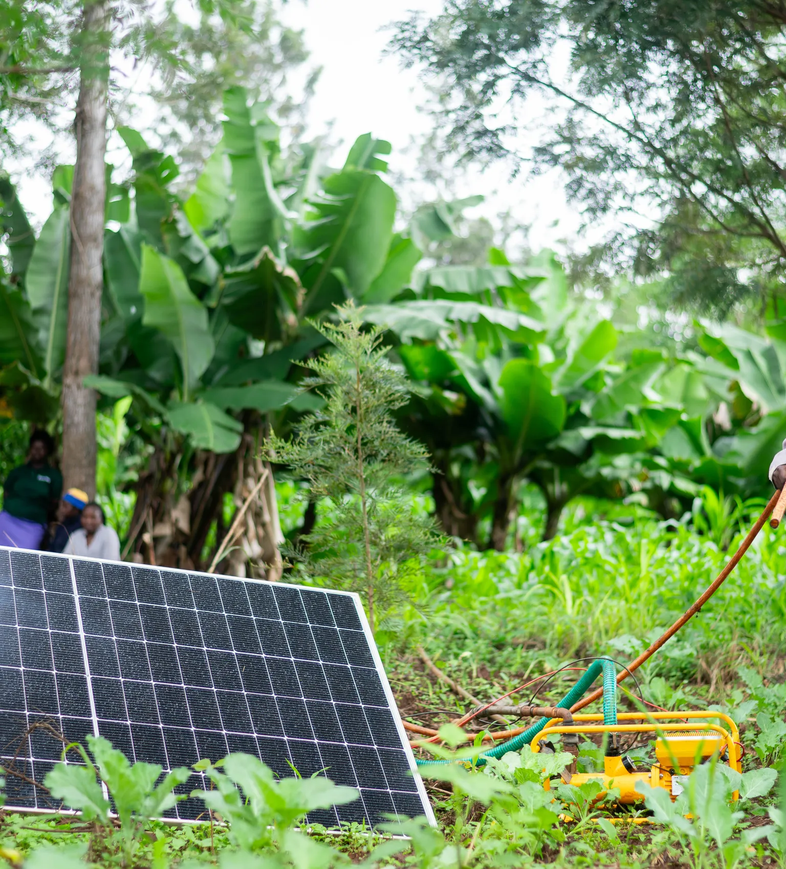 SEFFA solar irrigation - Kenya