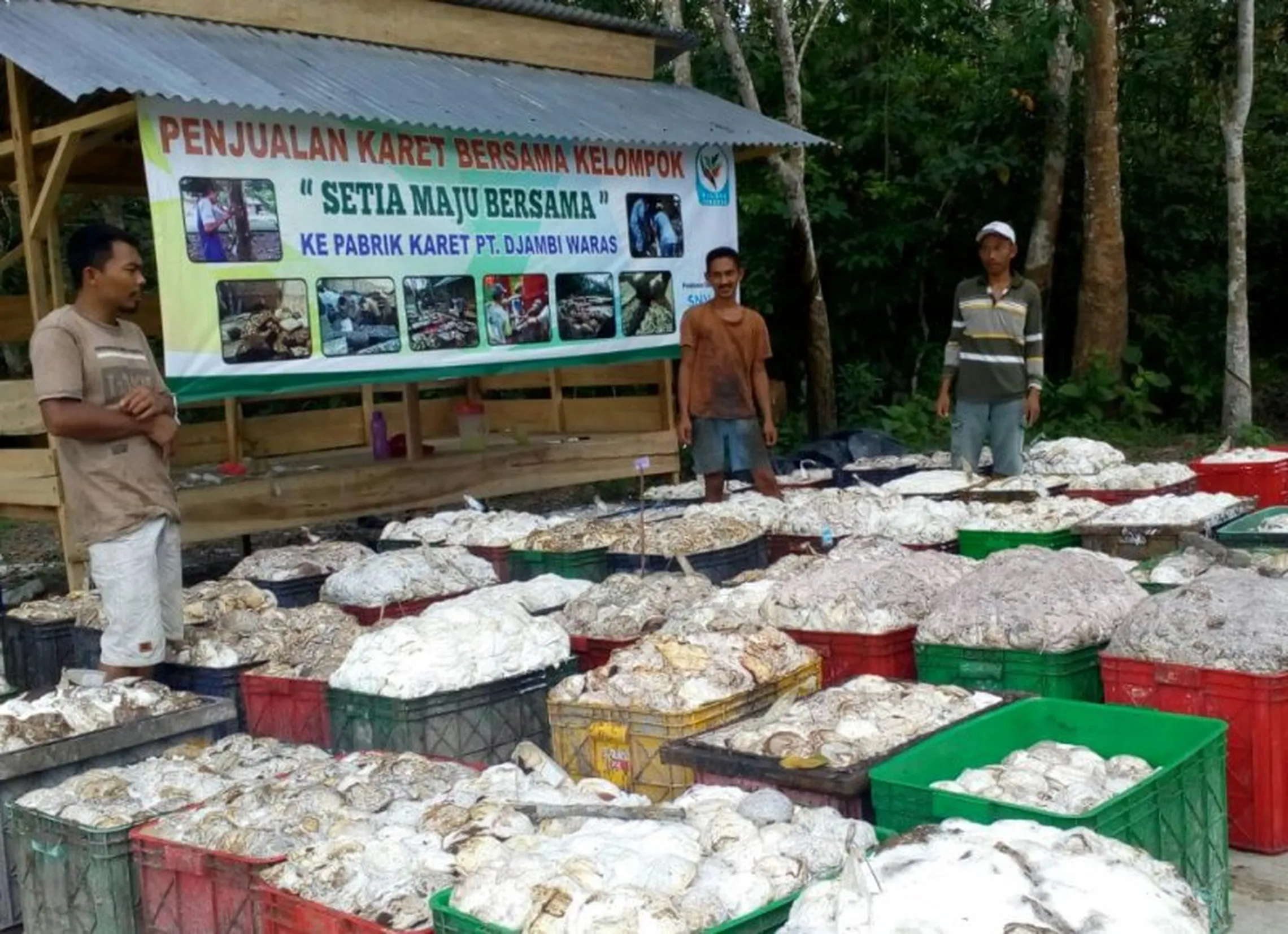 Joko and farmers shipping dried rubber cubes to a factory(P.C.Denny Defriansyah)