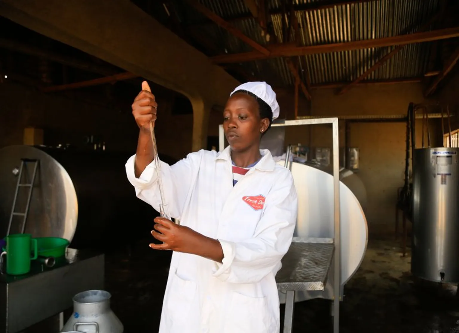 The TIDE project professionalises the dairy sector in Uganda