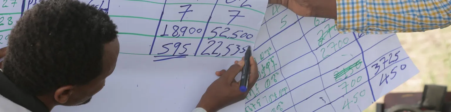 Horti-economics of Farmers Field Schools 