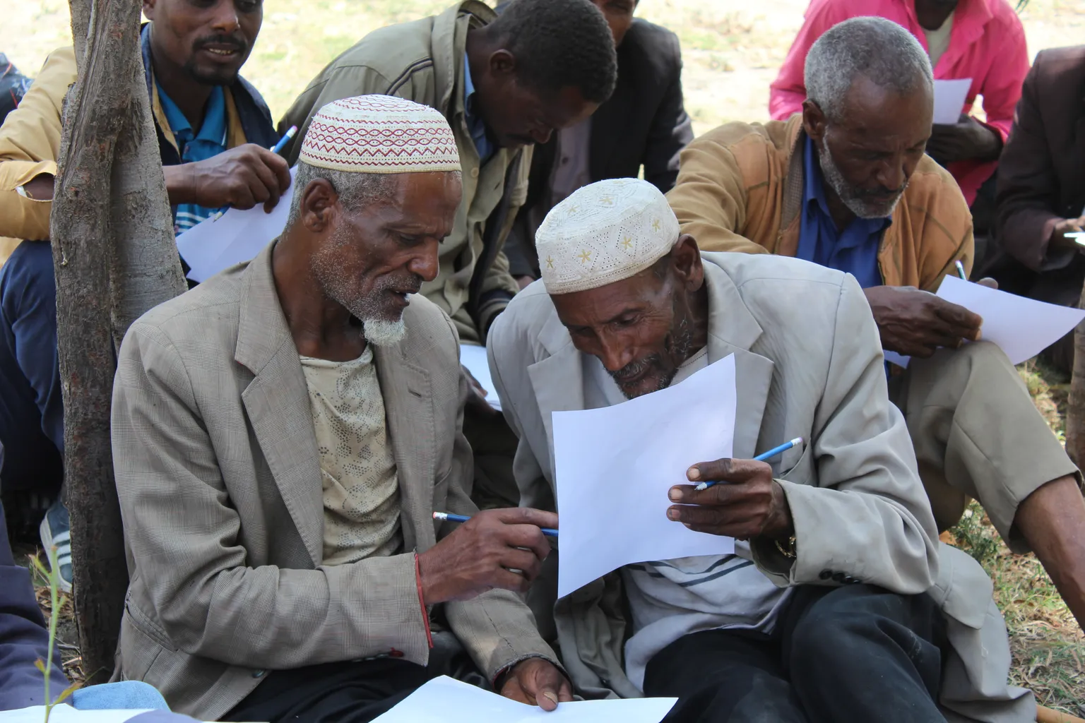 Sustaining change through Participatory Action Learning for Sustainability methodology 