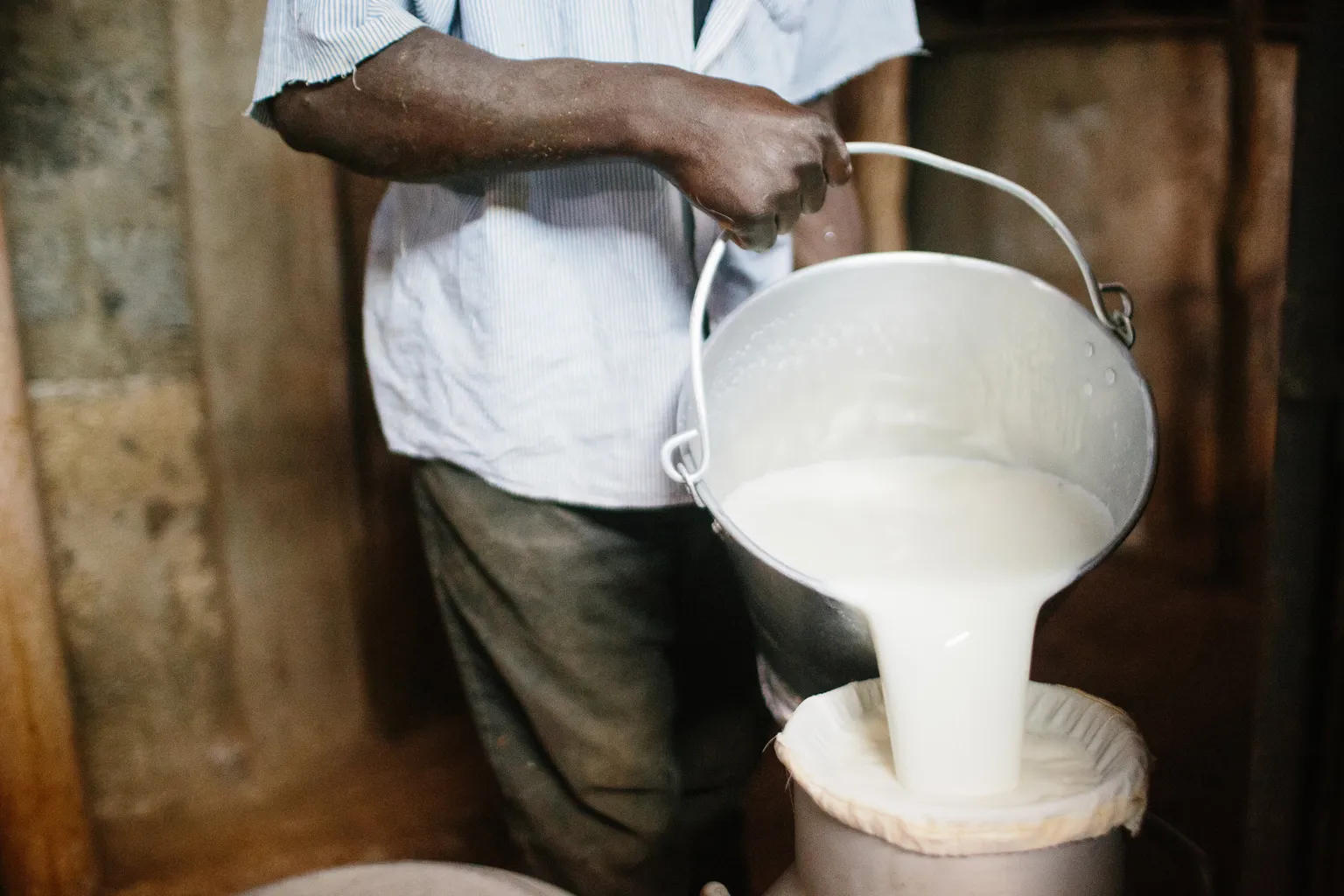 Mr Wilson Kanyoi is a member of Muki Dairy Farmers Cooperative Society and one of its leading farmers. Wilson lives in the town of Engineer, Nyandarua County, about 40 kilometres east of Naivasha. A few years ago, he started farming with two cows. Due to his participation in the Kenya Market-led Dairy Programme (KMDP) he has been able to expand and now has eleven cows.