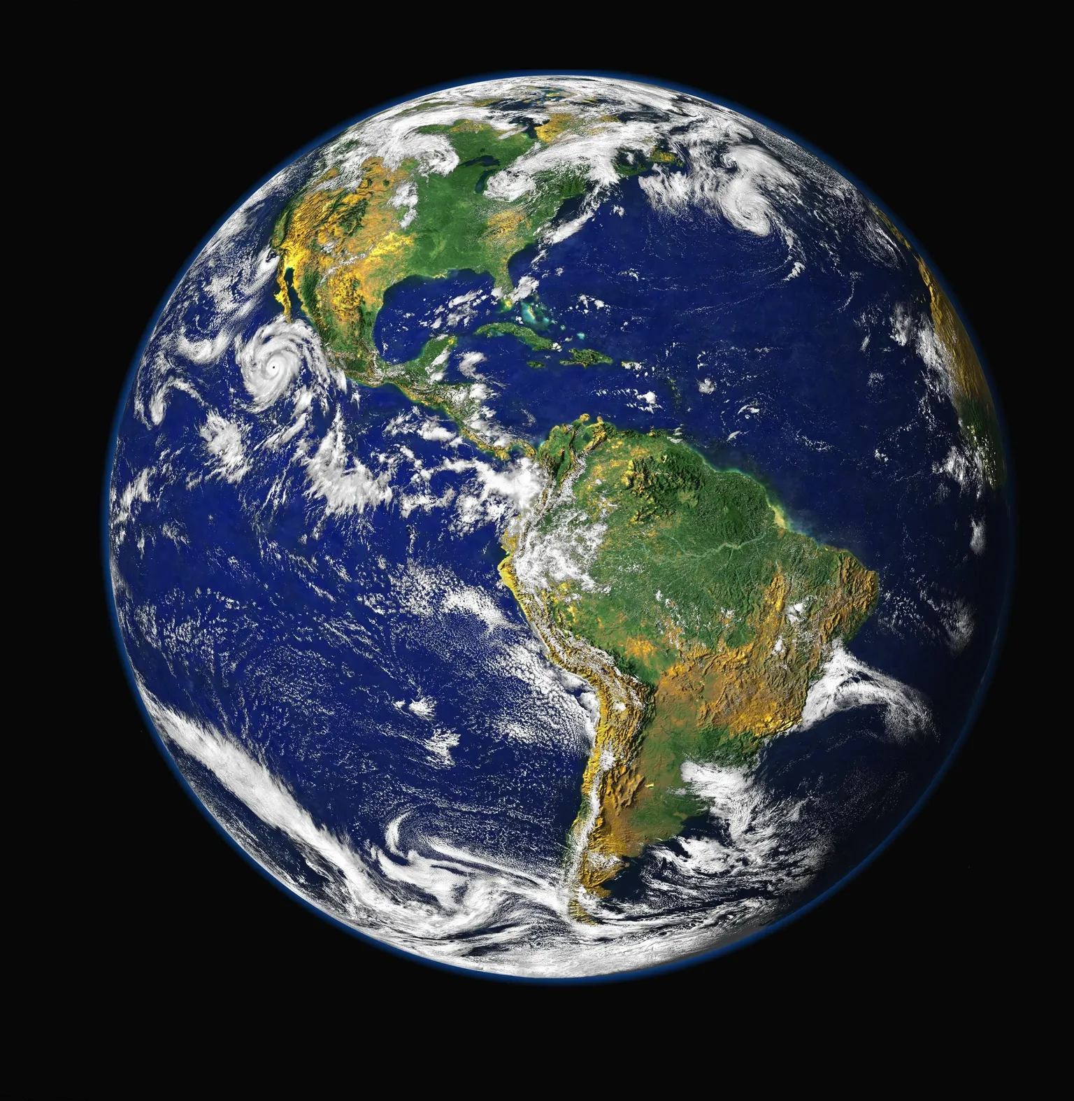 The Globe