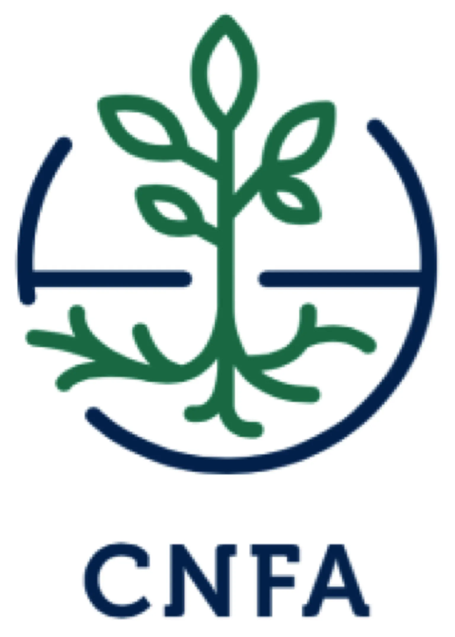 cnfa