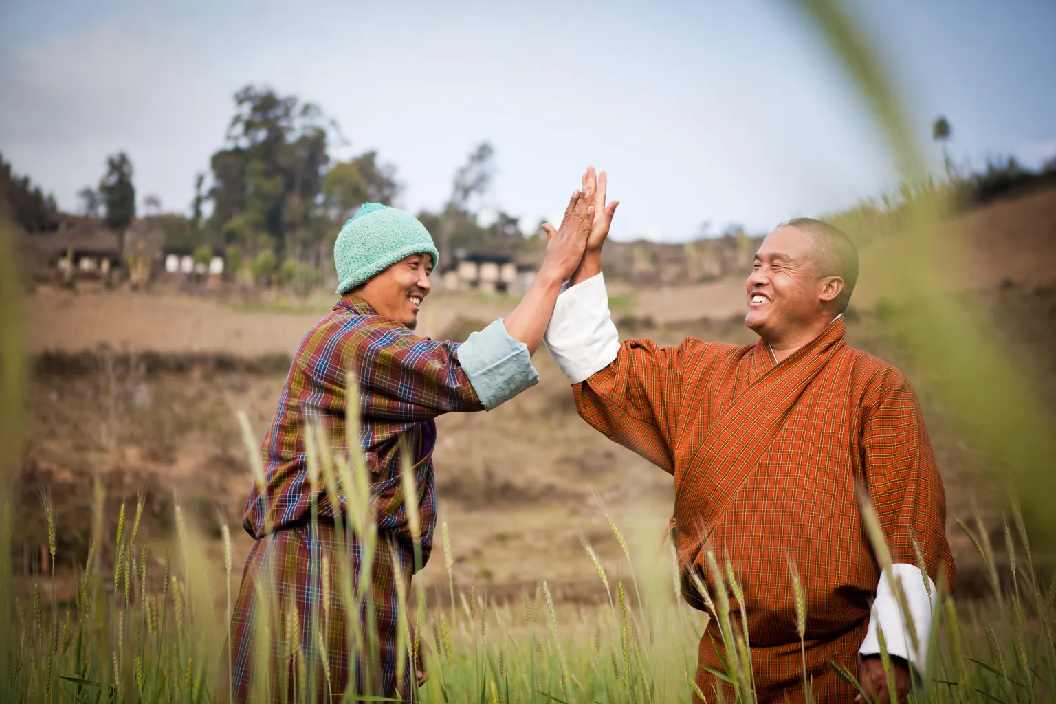 Voice for Change Partnership – Highlights    