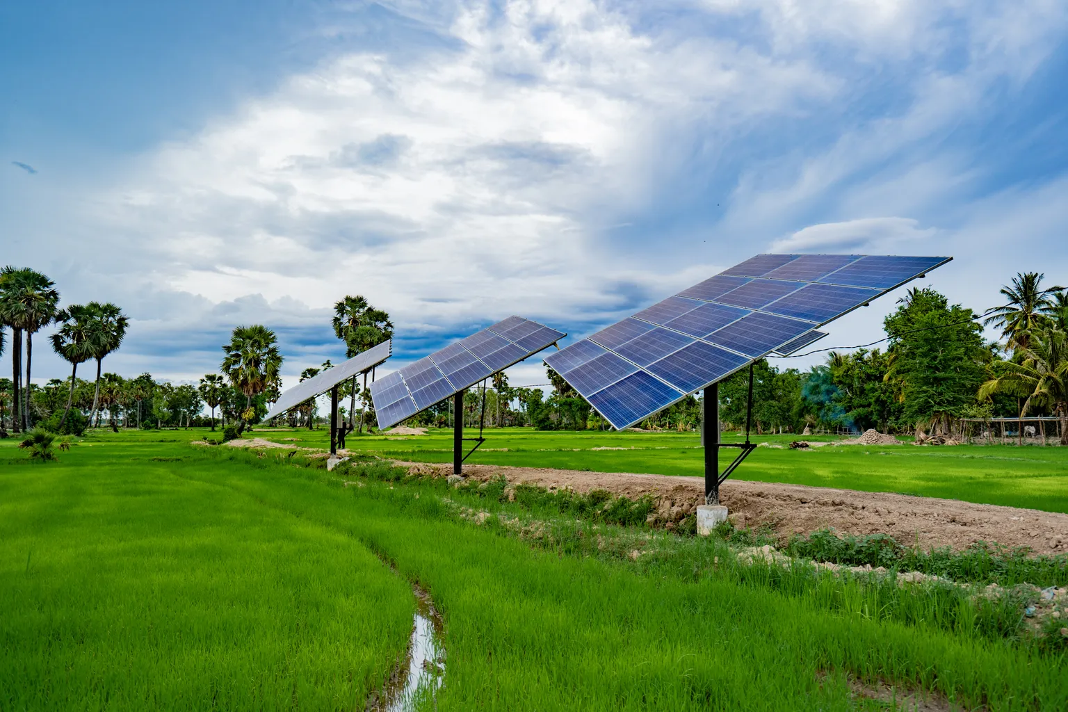 solar irrigation company supported by IAP and DFCD