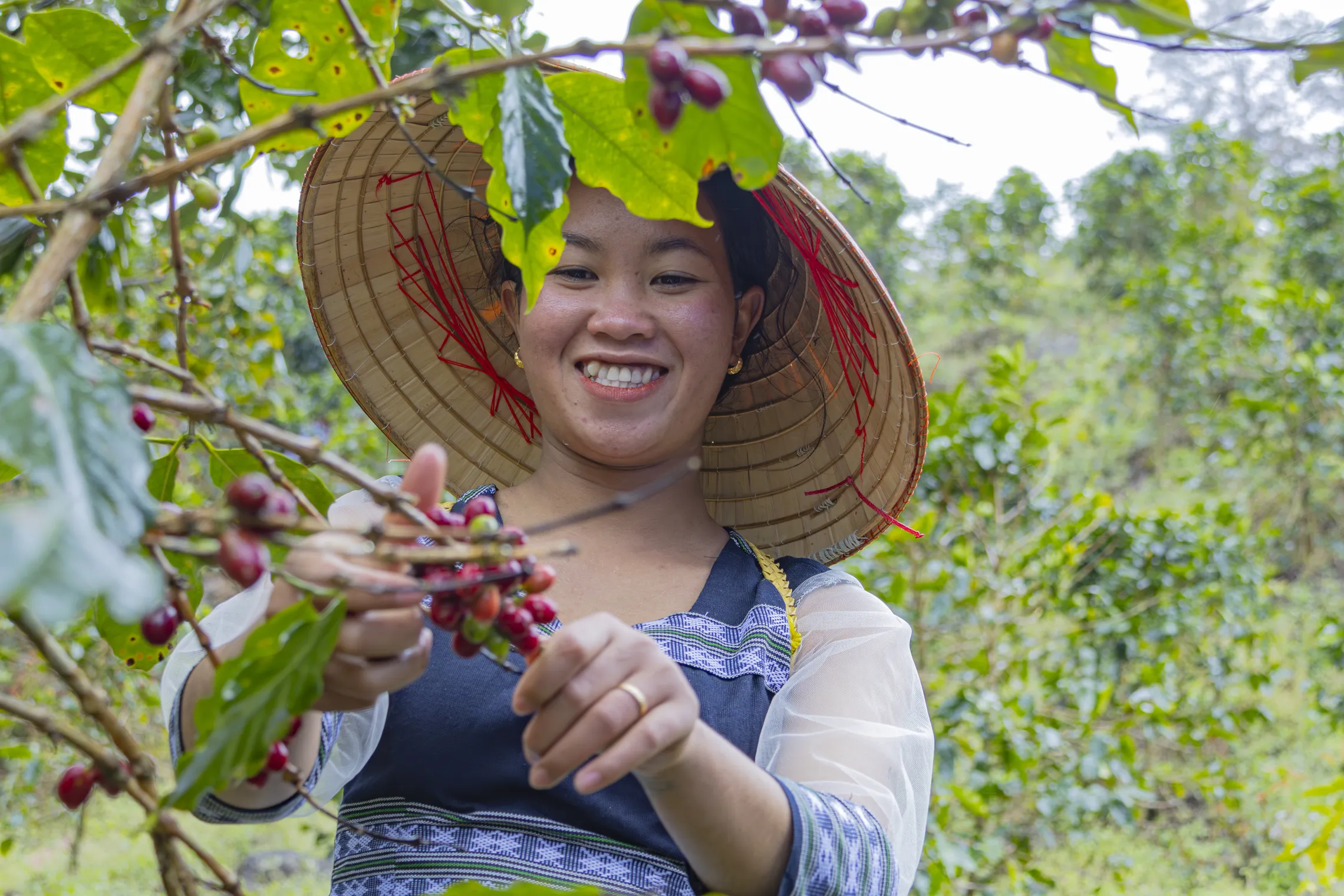 Ethnic minority coffee farmers in the Central Highlands