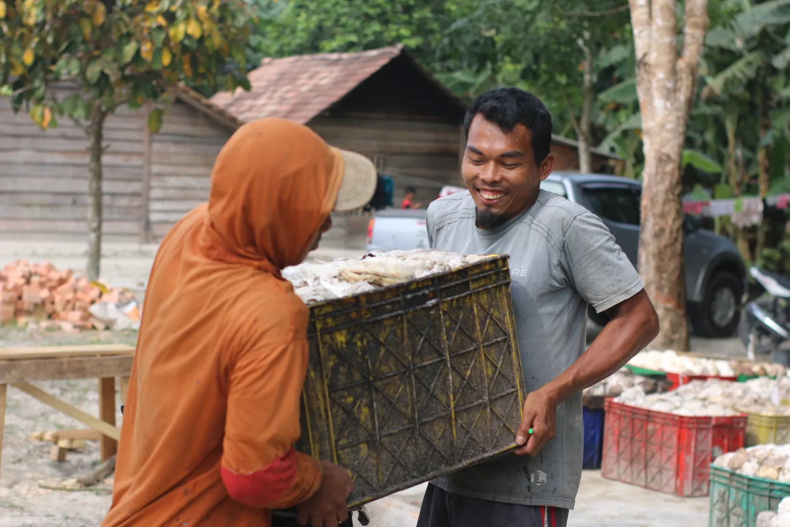 Increasing farmers incomes by growing their production