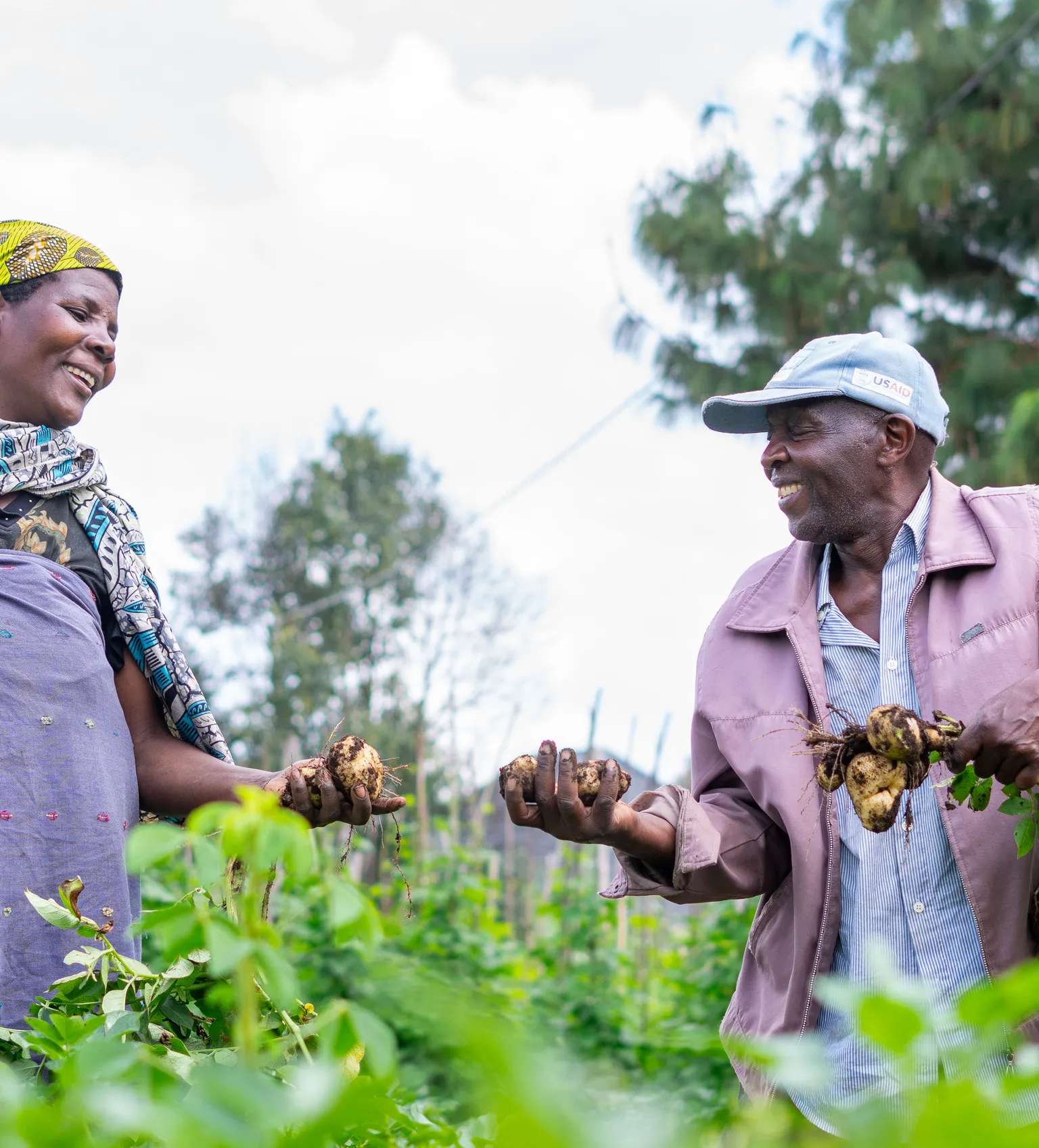 Potato farmers in Uganda