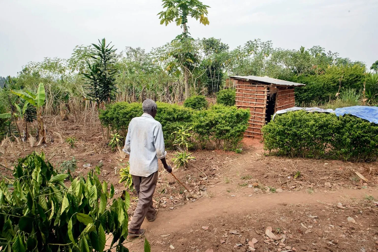 Kenya disability friendly toilet 