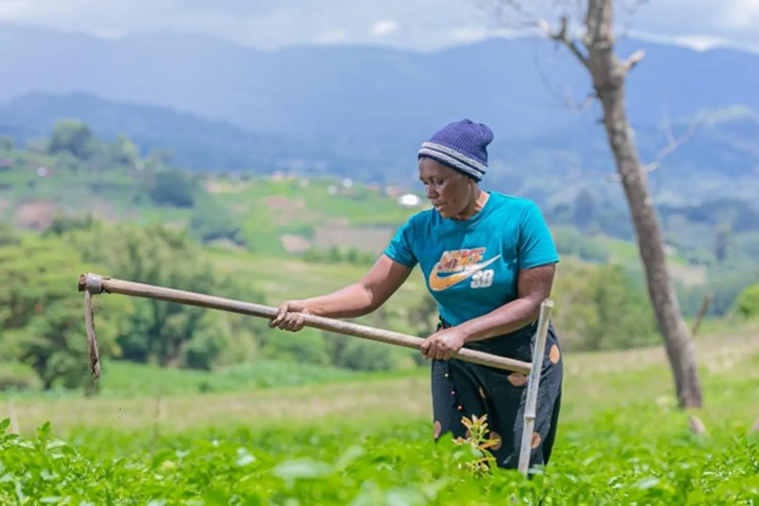 Grace Sanga farmer in Tanzania