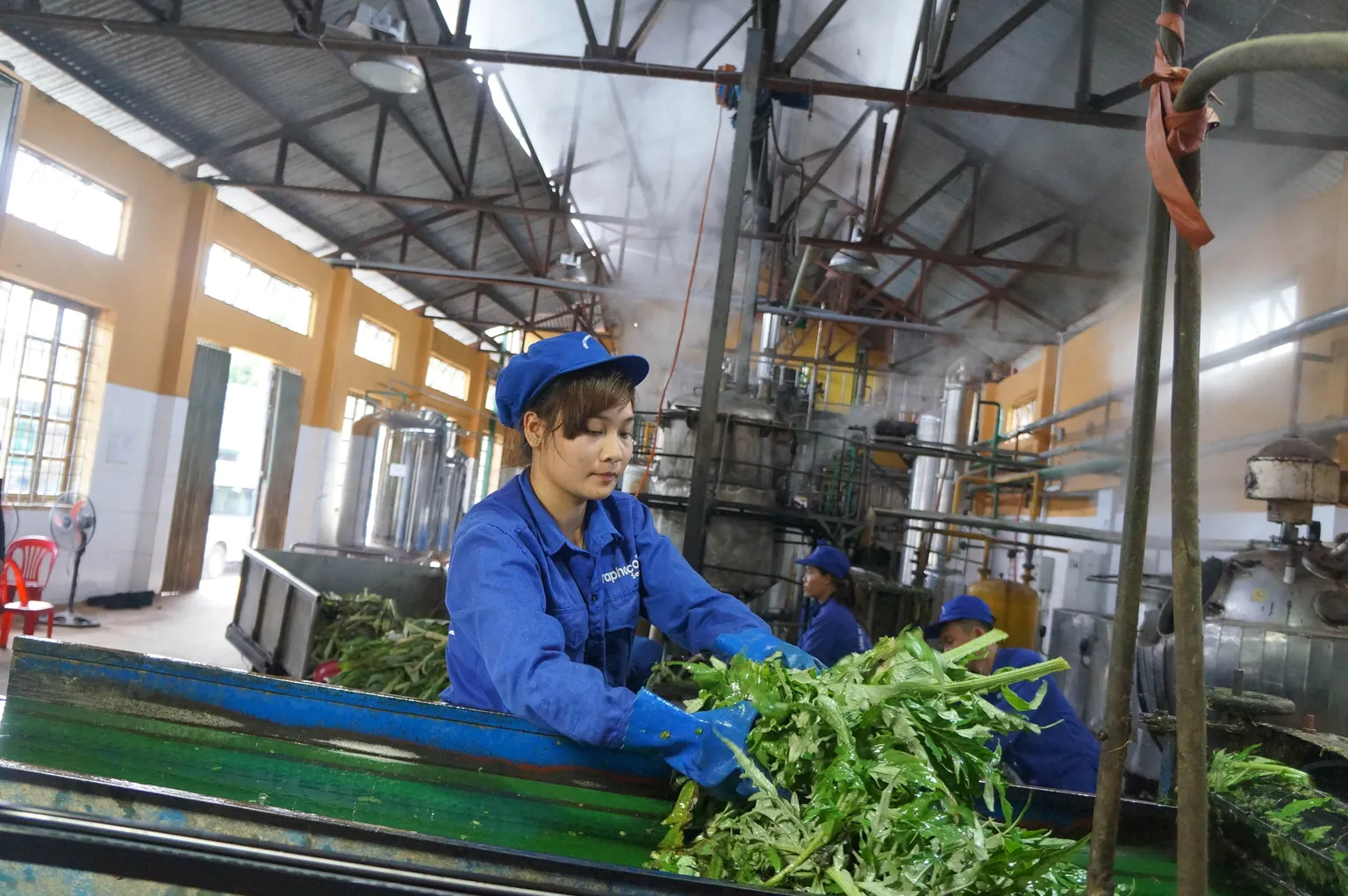 Inclusive business can play a key role in achieving the Sustainable Development Goals