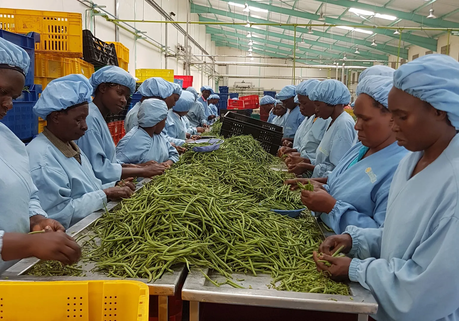 Kenya Horticulture Partners Day