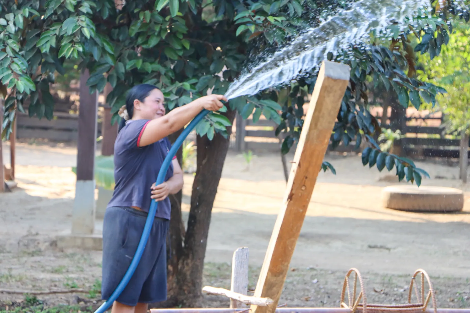 Ms Piv watering