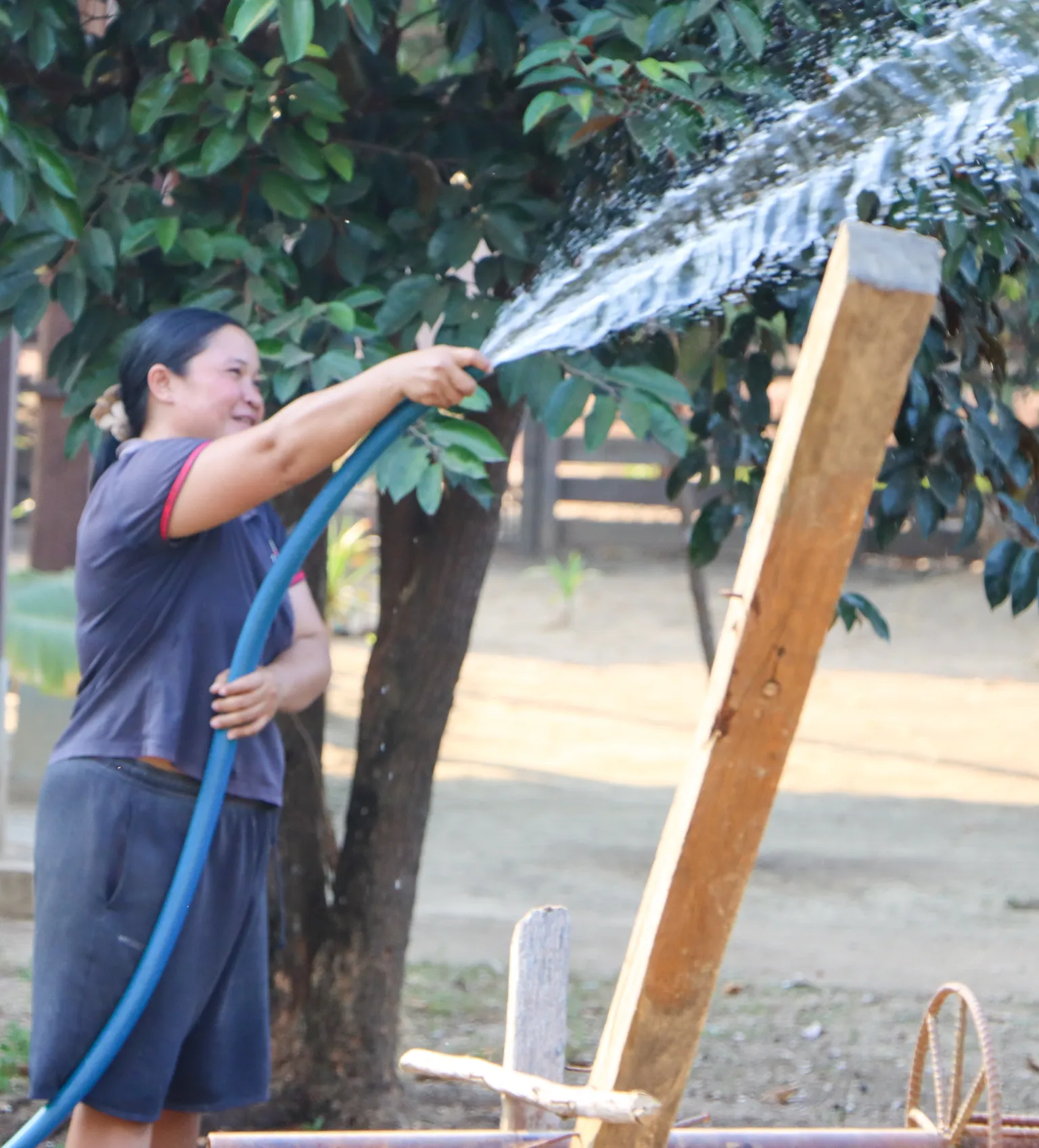 Ms Piv watering
