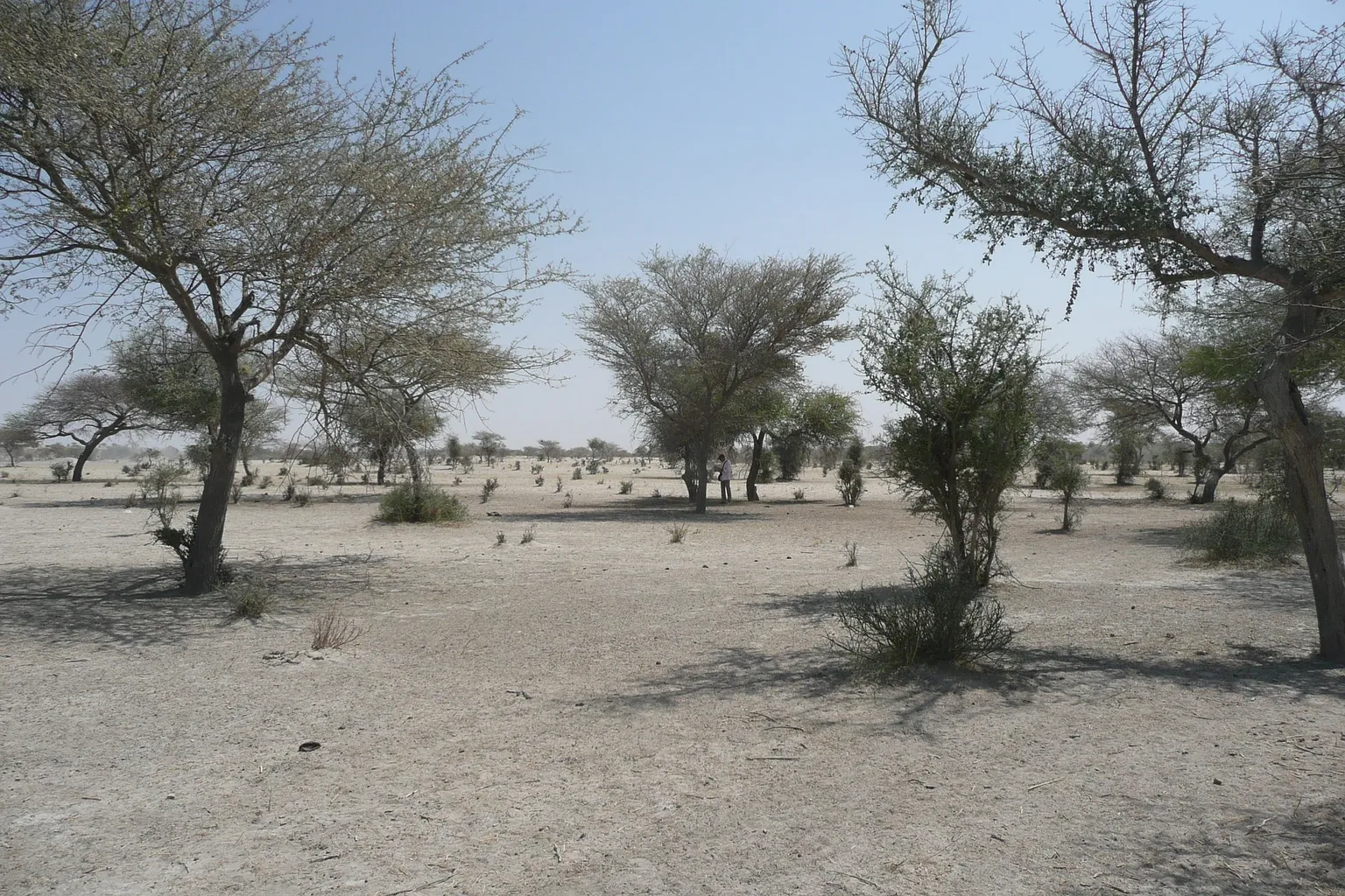 SNV turns 50 in the Sahel region