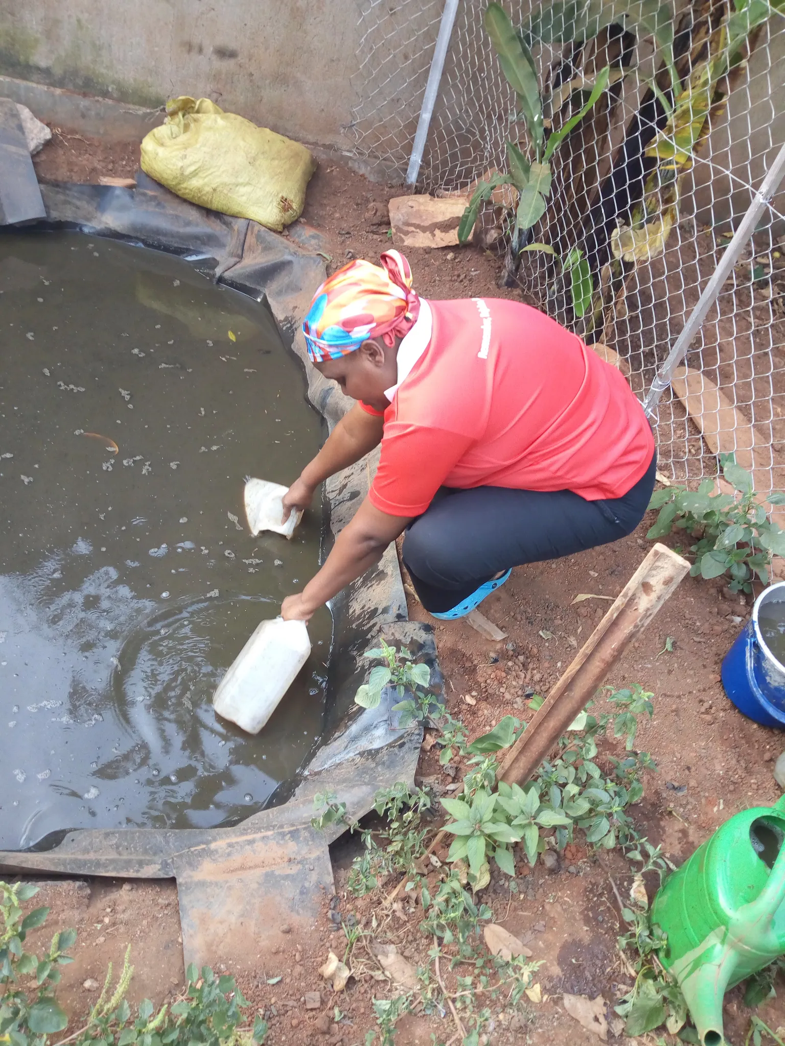 Meet Pheonah, a full time SNV employee with a passion for farming