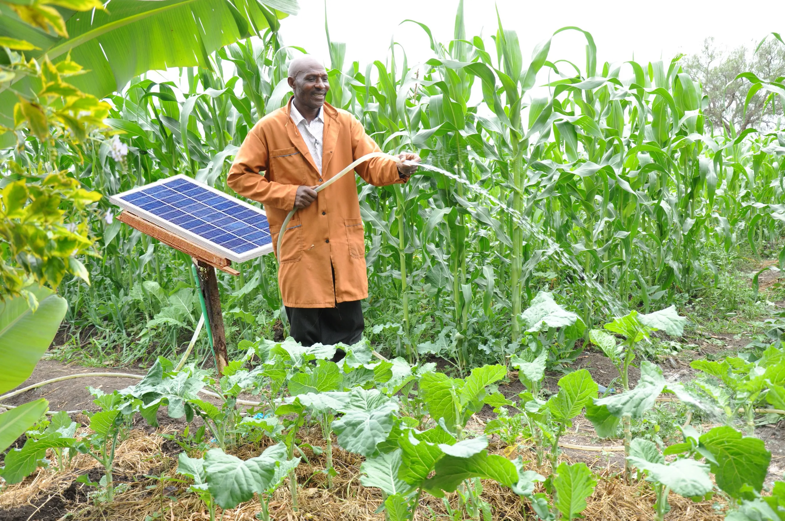 A man with a solar water pump