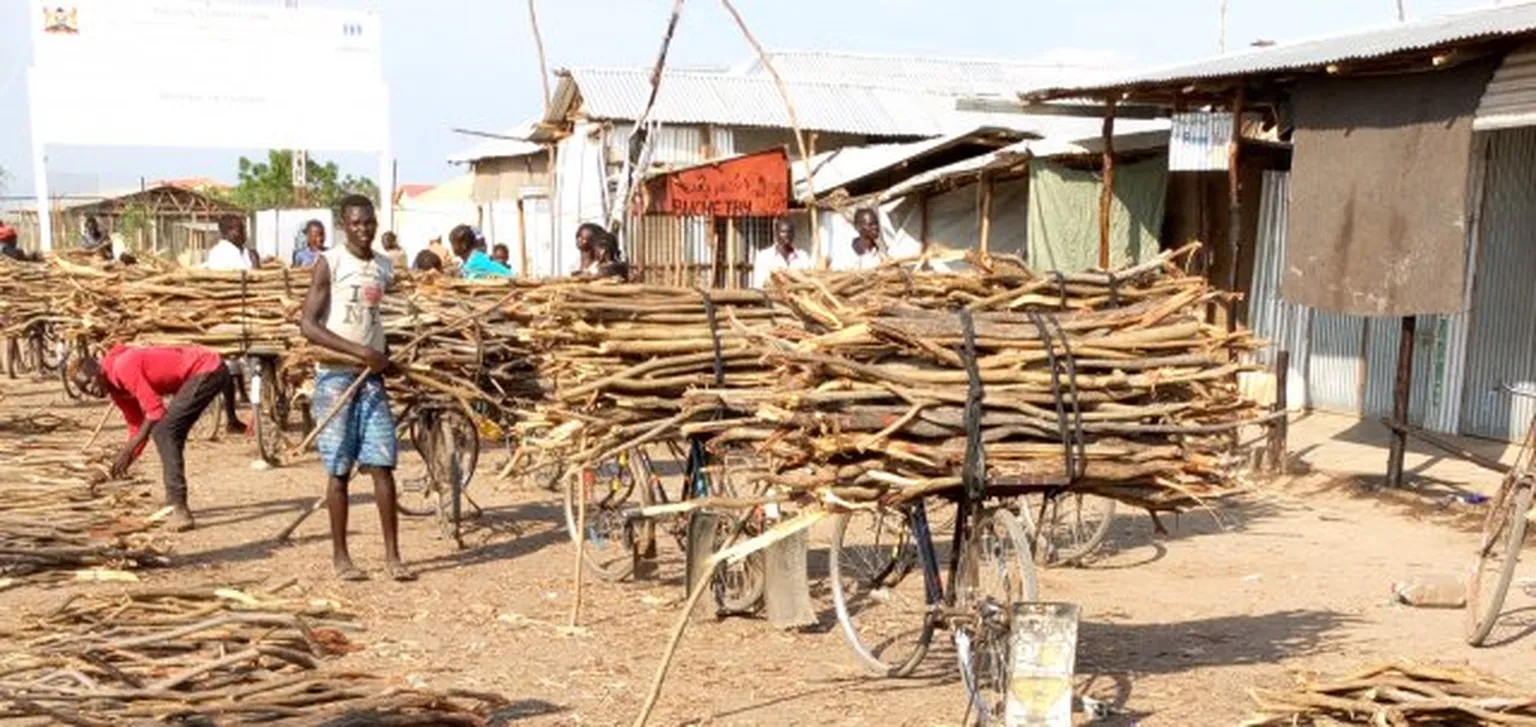 Kakuma camp to host first TEDx event for refugees