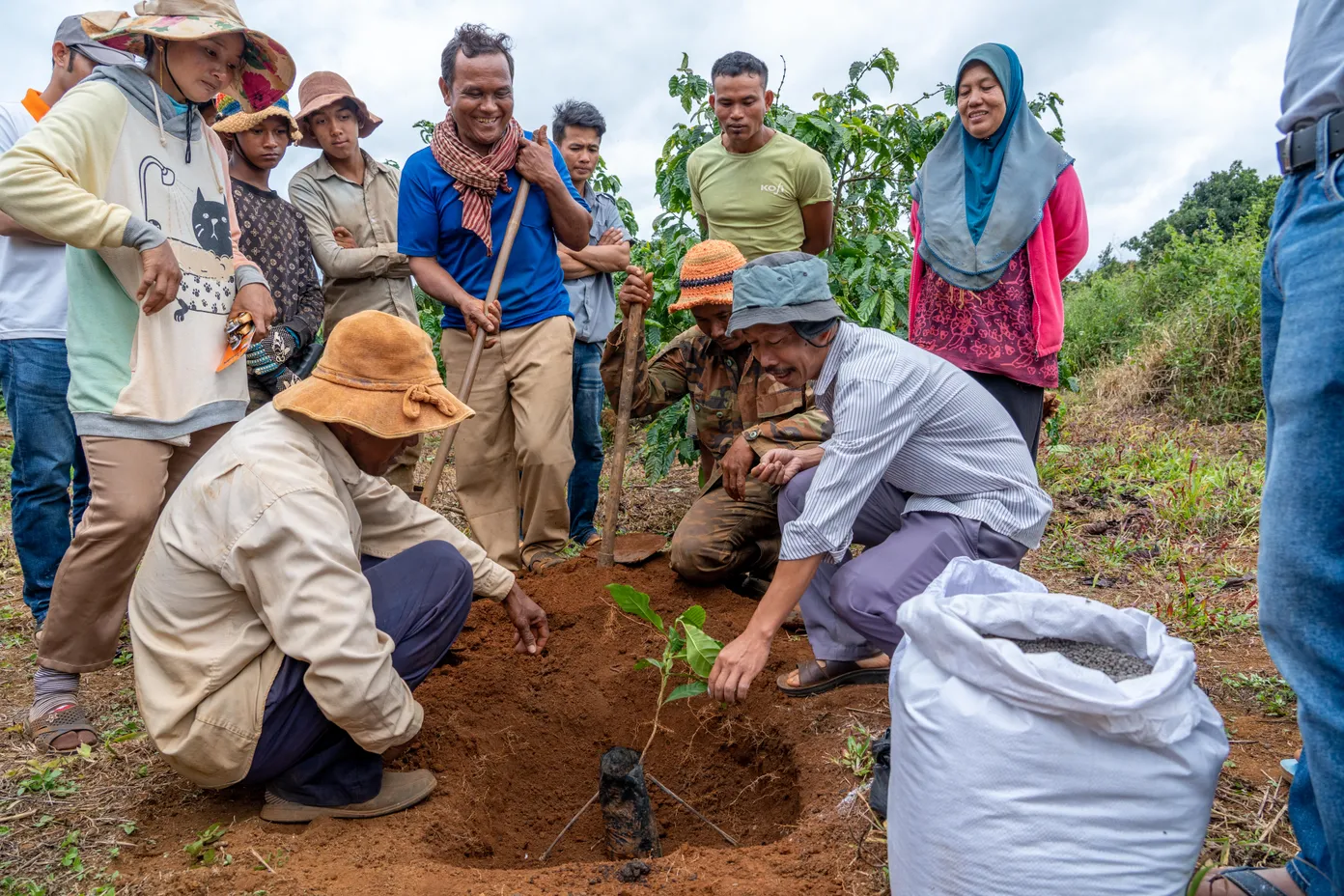 A group of people gather around a small tree being planted in a hole, surrounded by soil and vegetation, under a cloudy sky.