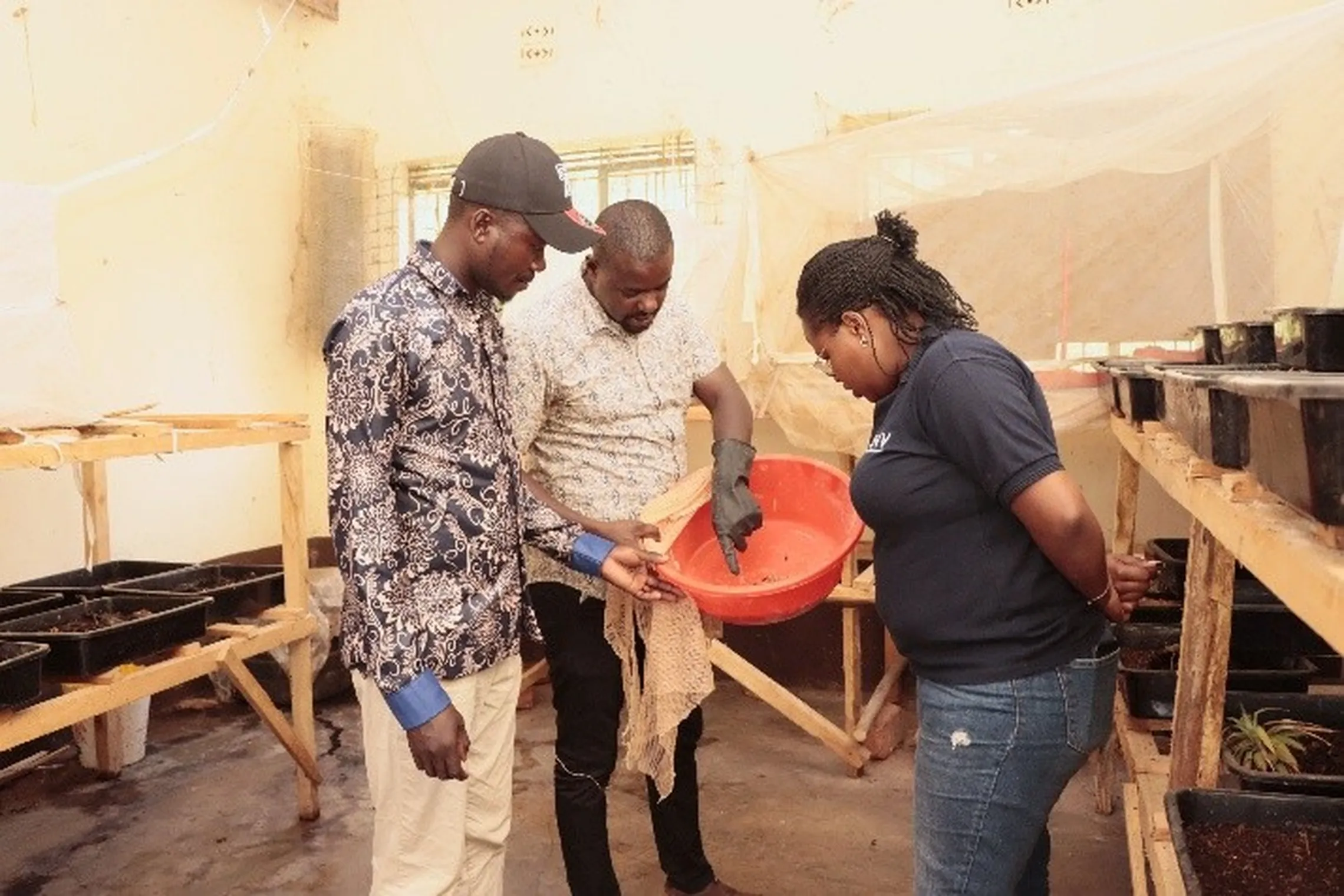 Group members inspecting the black soldier fly insect