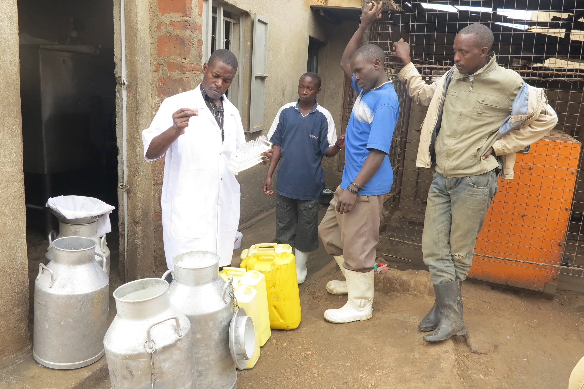 Dairy: Uganda’s un-milked sector