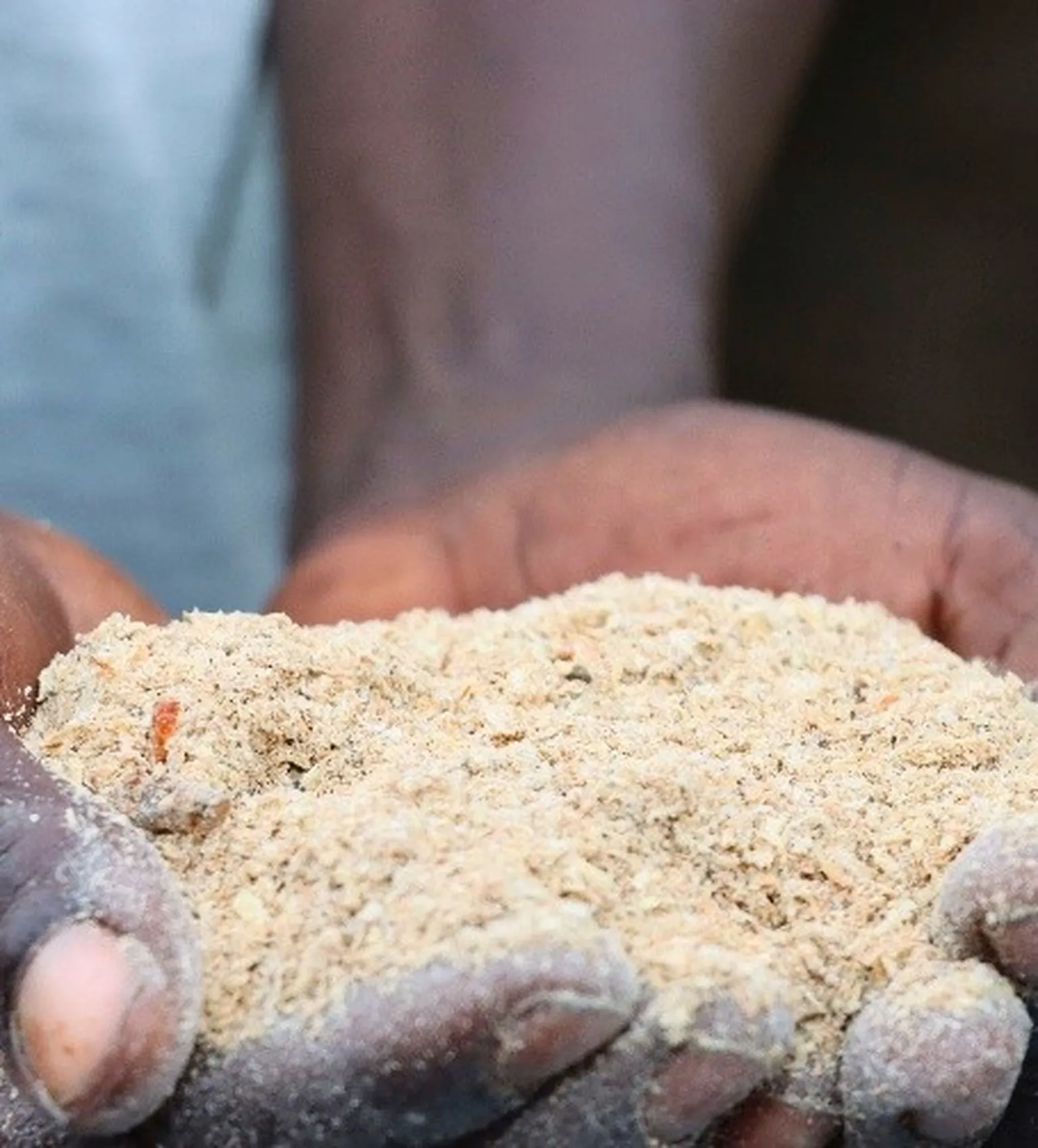Close-up of cupped hands holding a heap of coarse pale meal or flour, fine dust clinging to the fingertips.